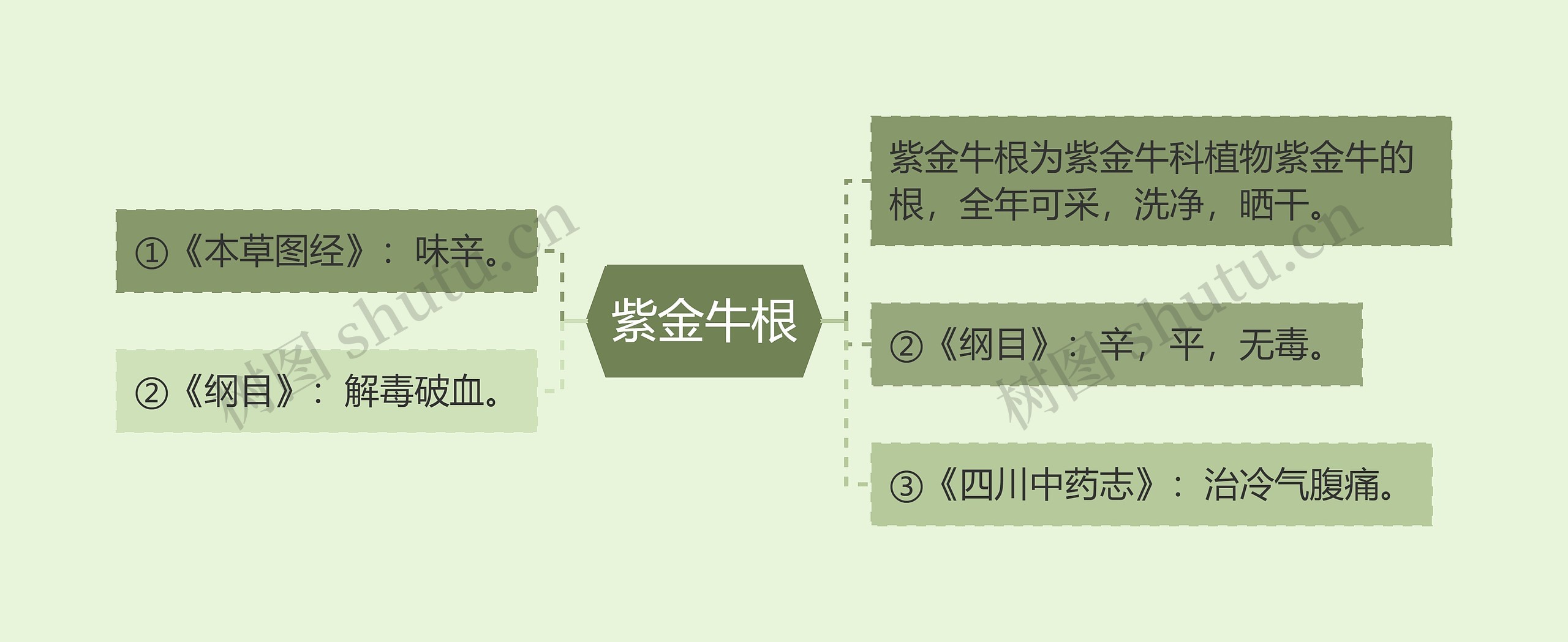 紫金牛根 紫金牛根