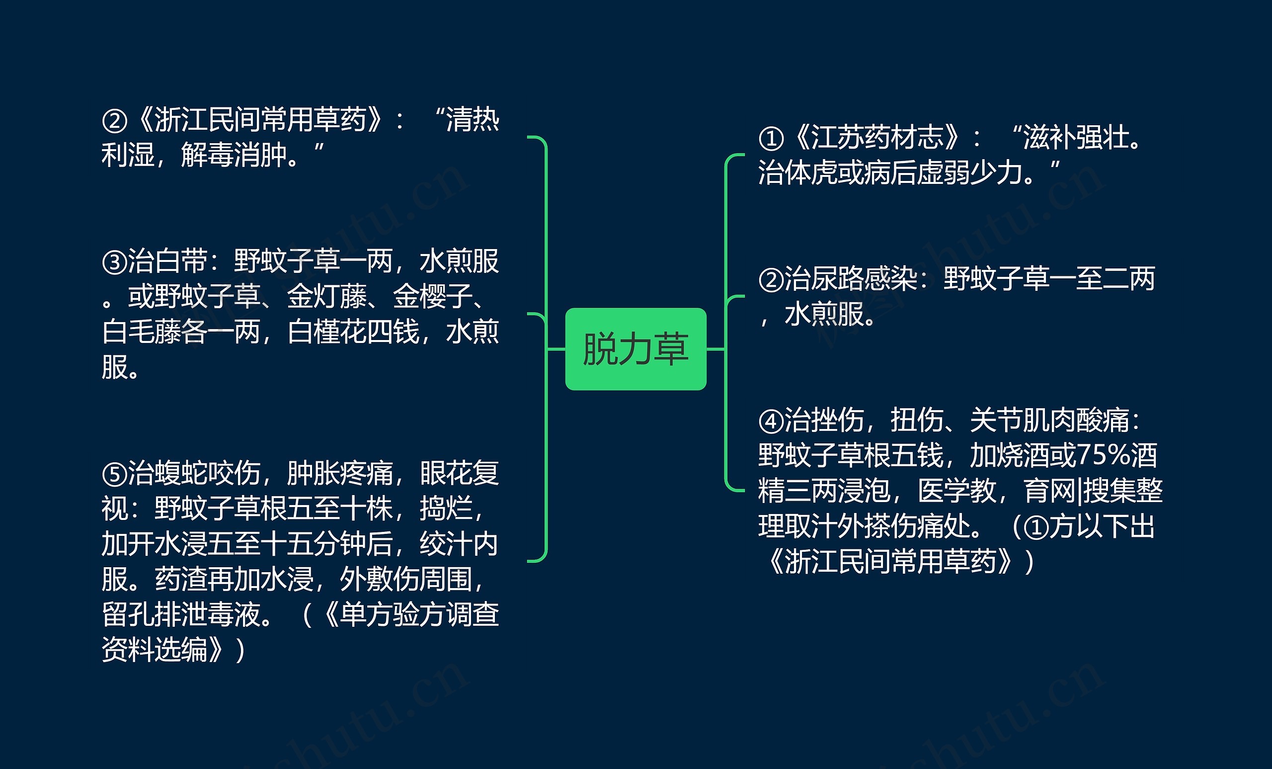 脱力草思维导图