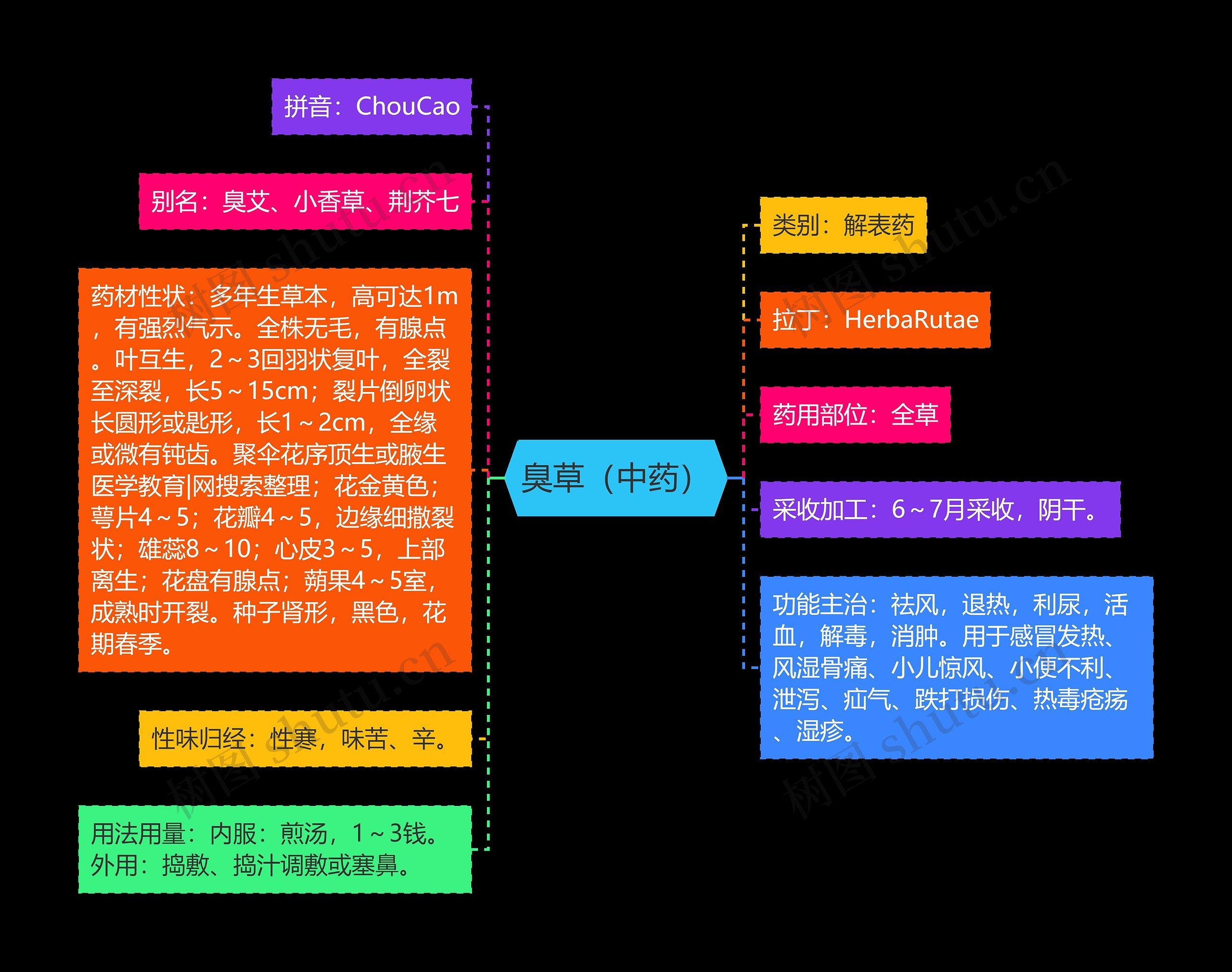 臭草（中药）思维导图