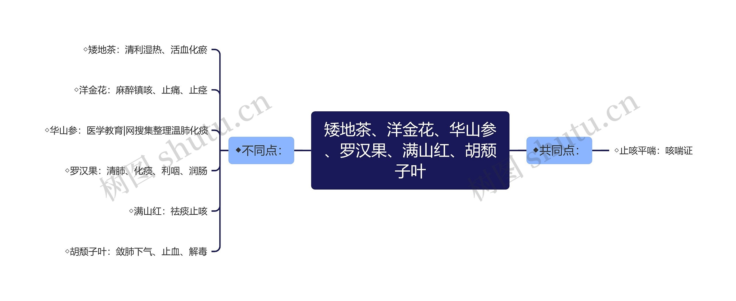 矮地茶、洋金花、华山参、罗汉果、满山红、胡颓子叶思维导图