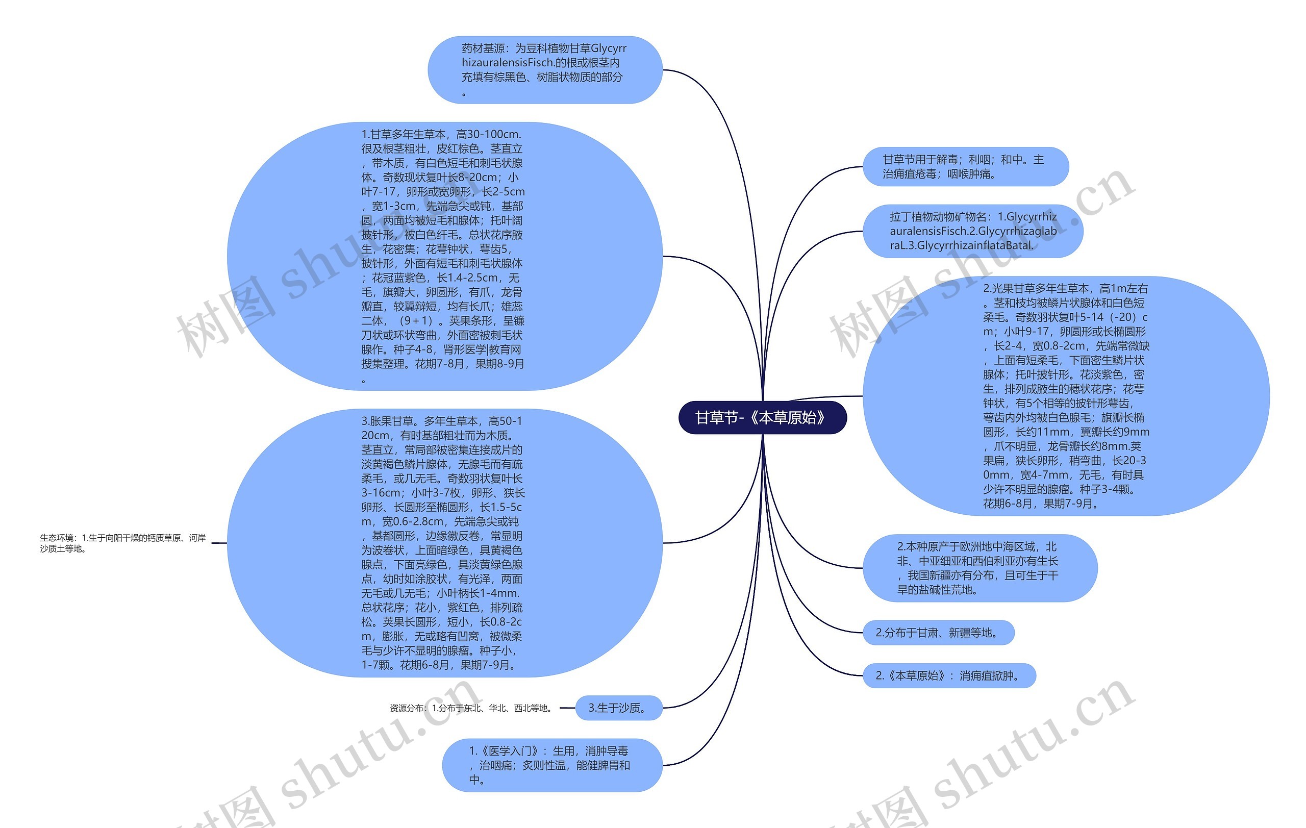 甘草节-《本草原始》思维导图