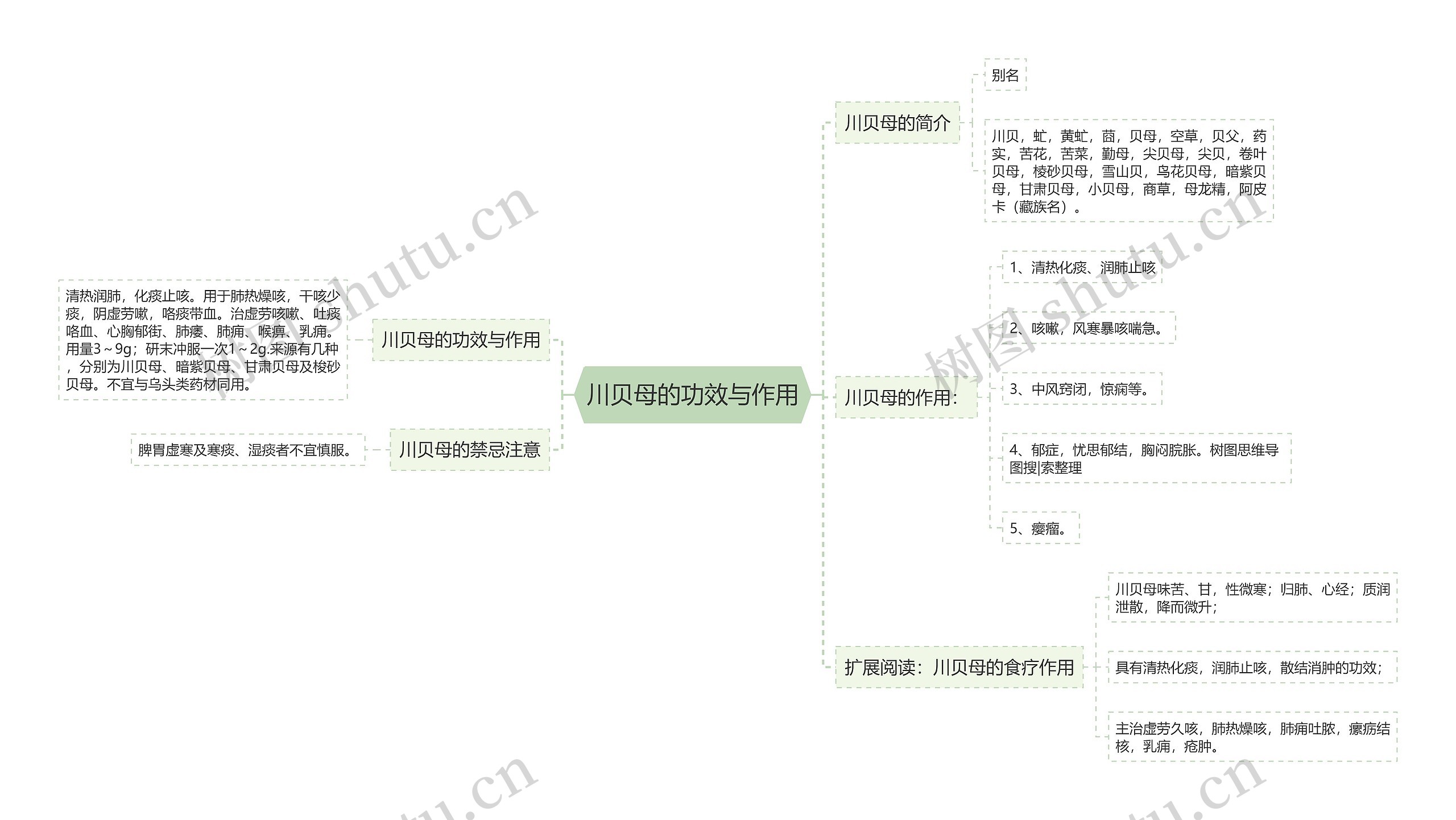 川贝母的功效与作用思维导图