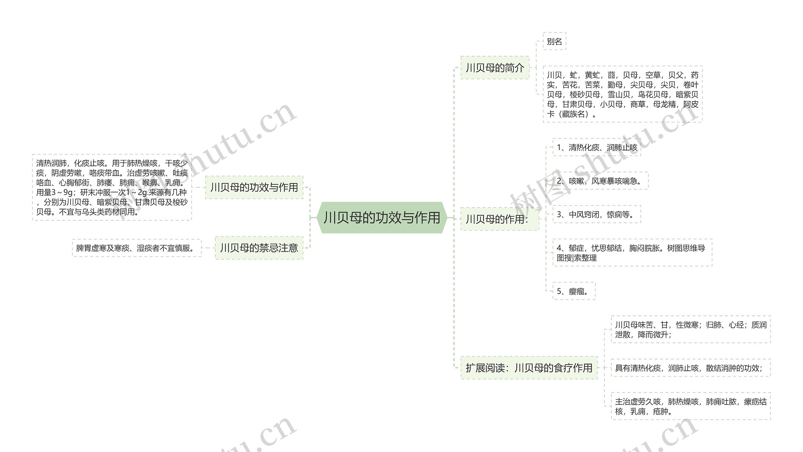 川贝母的功效与作用 川贝母的功效与作用
