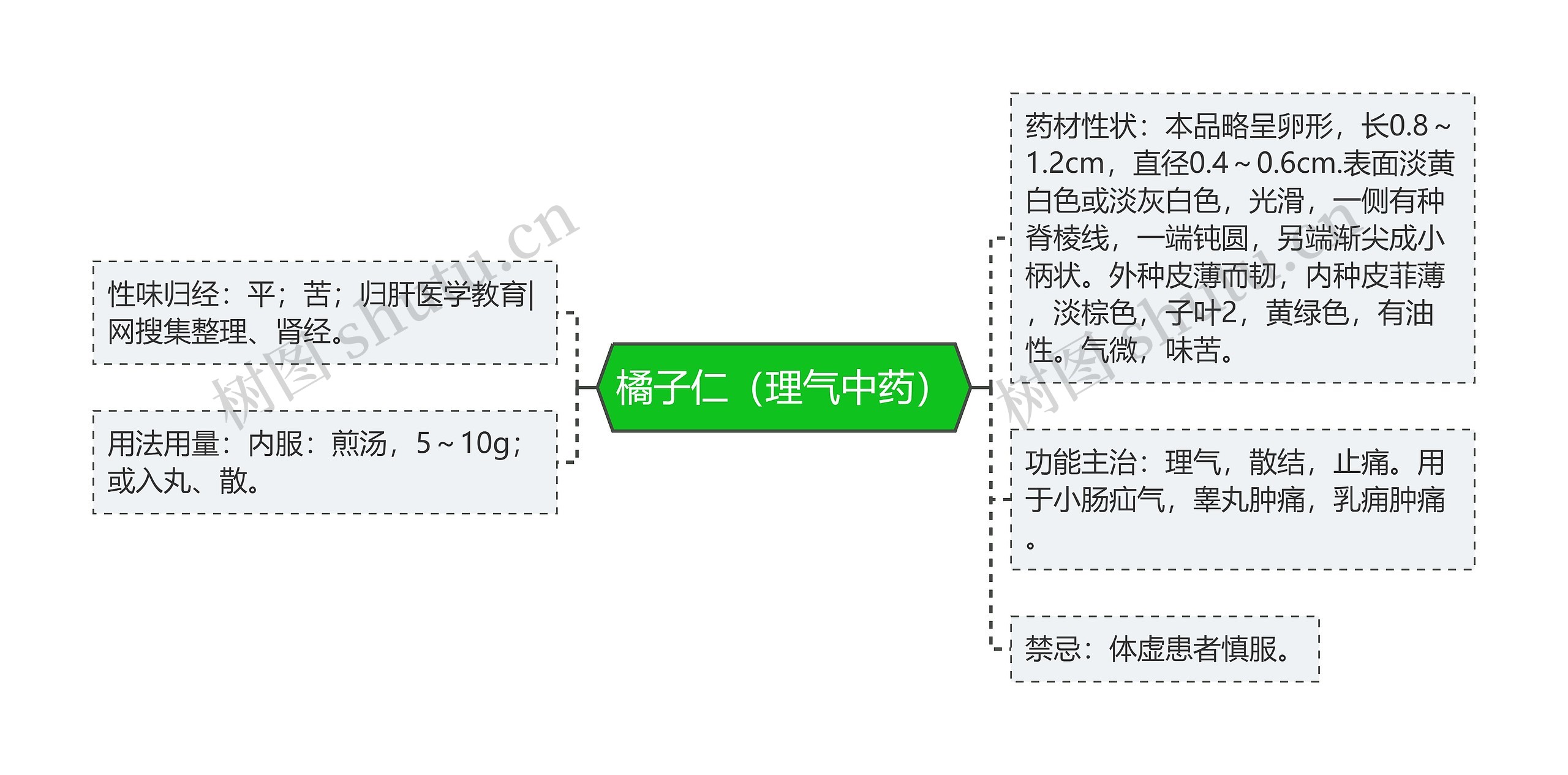 橘子仁（理气中药）思维导图