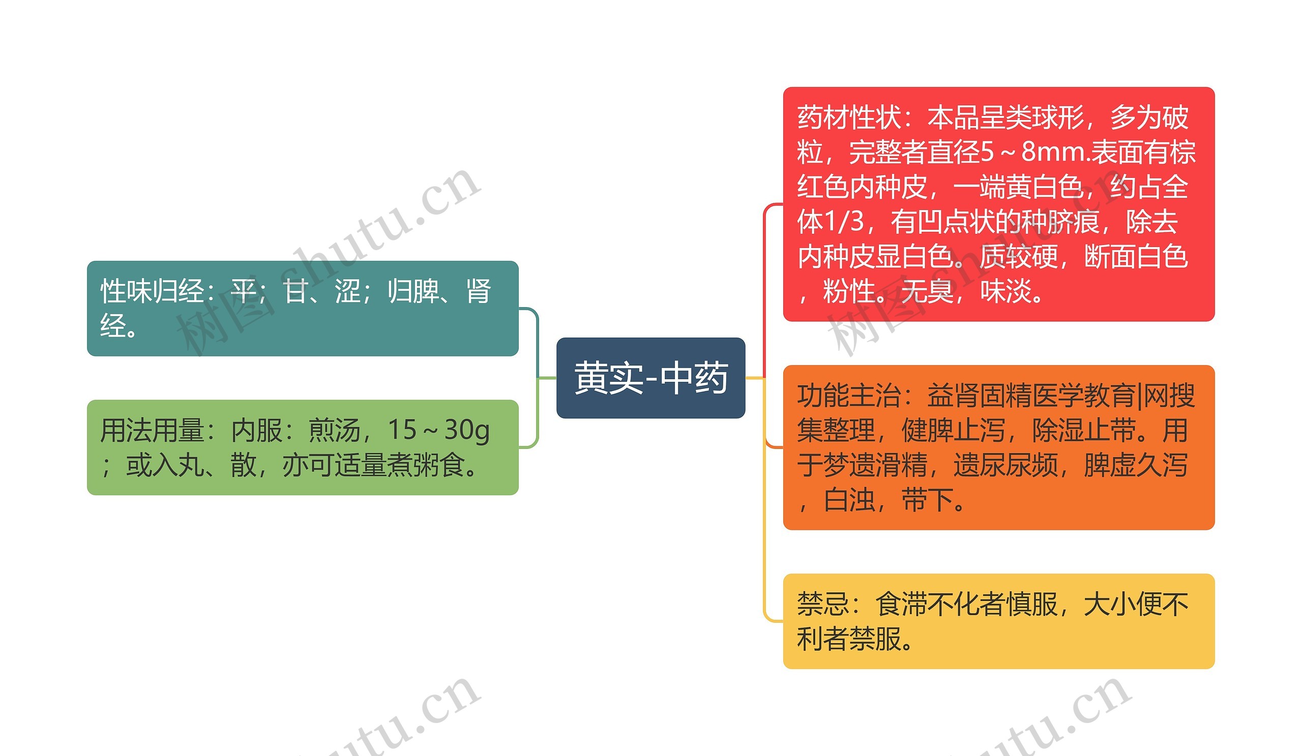 黄实-中药思维导图