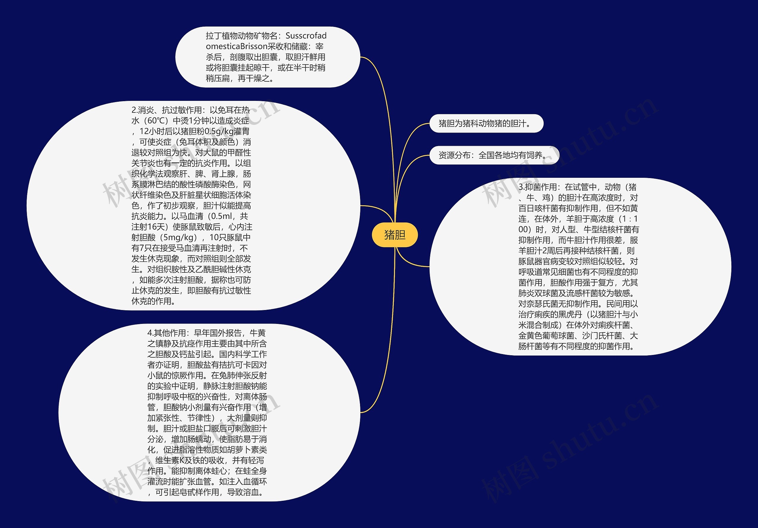 猪胆思维导图