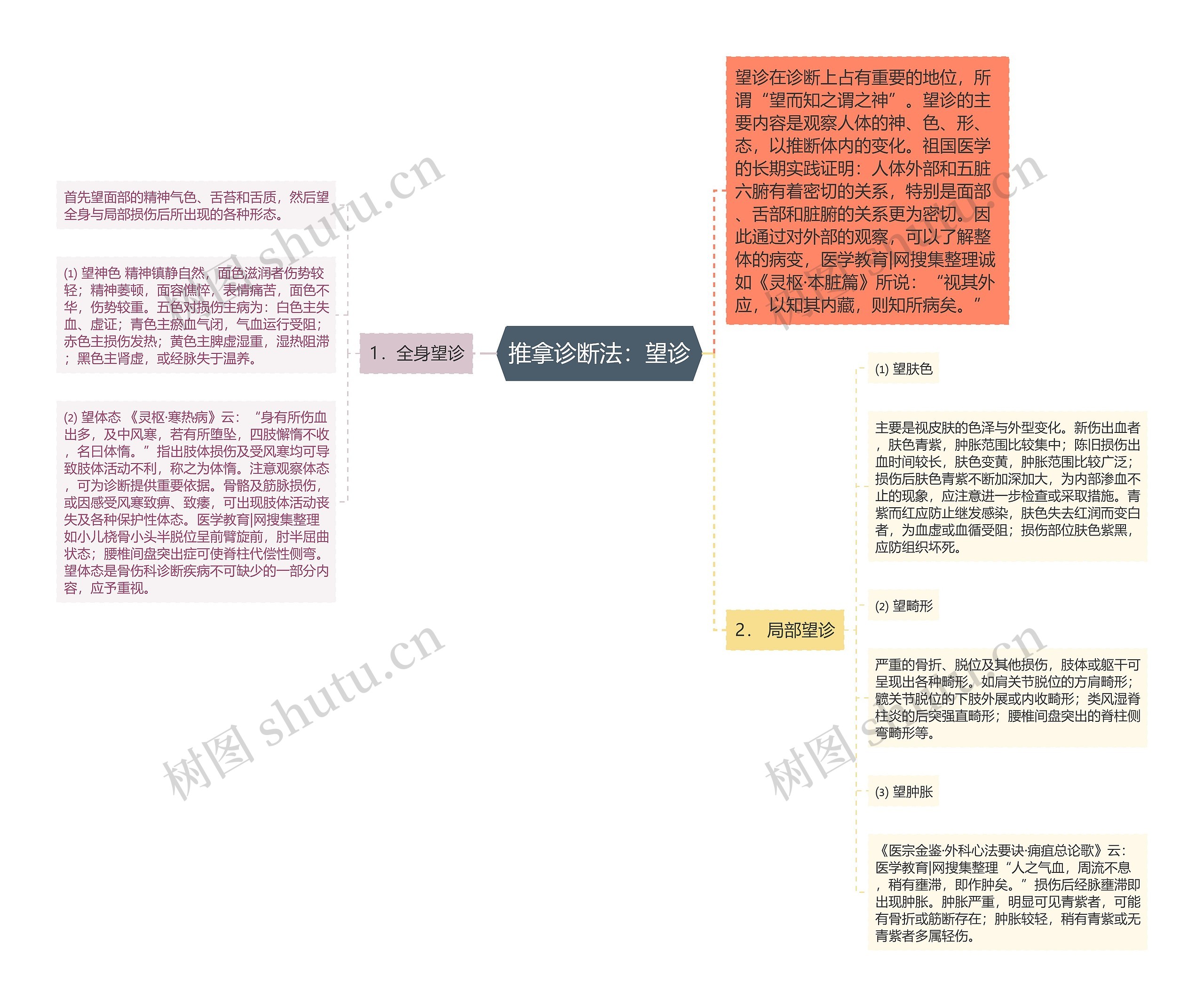 推拿诊断法：望诊思维导图