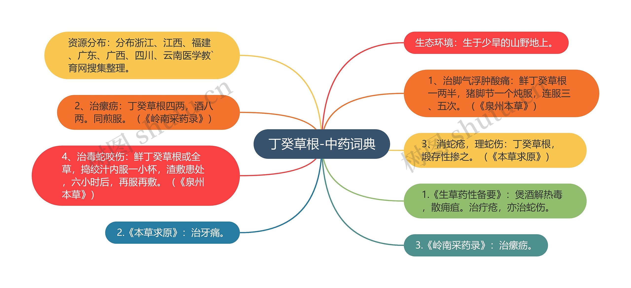 丁癸草根-中药词典思维导图