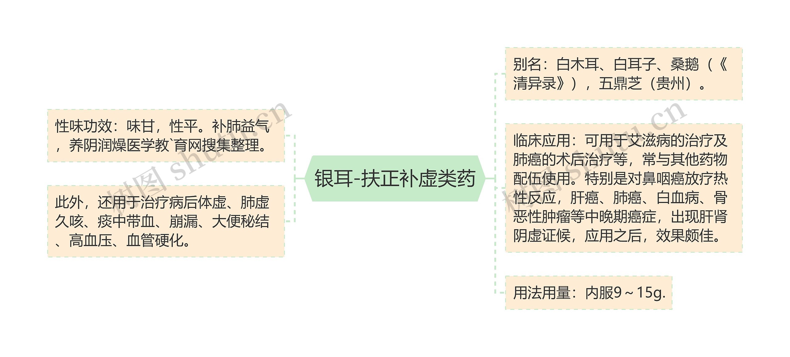 银耳-扶正补虚类药