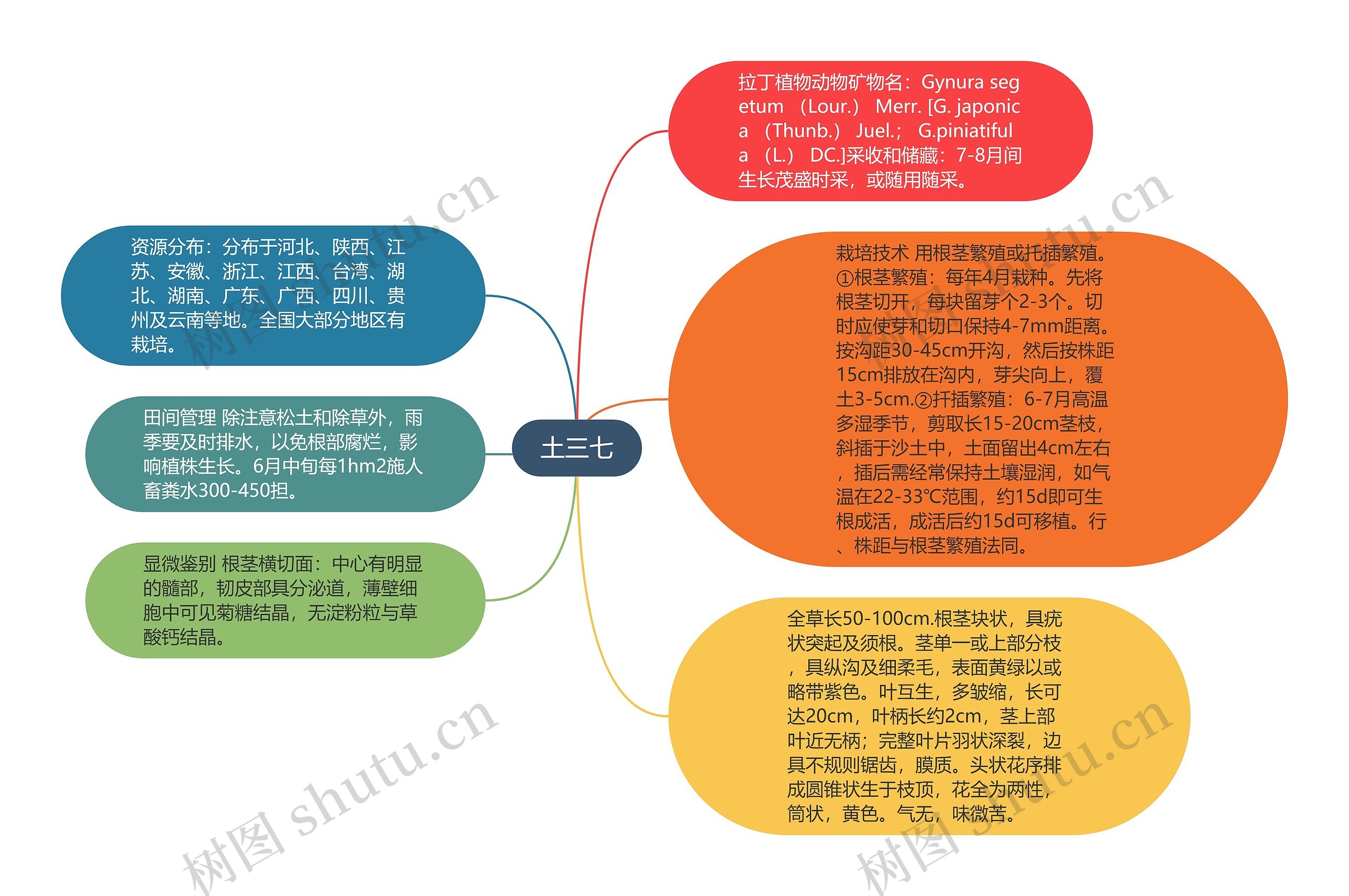 土三七思维导图