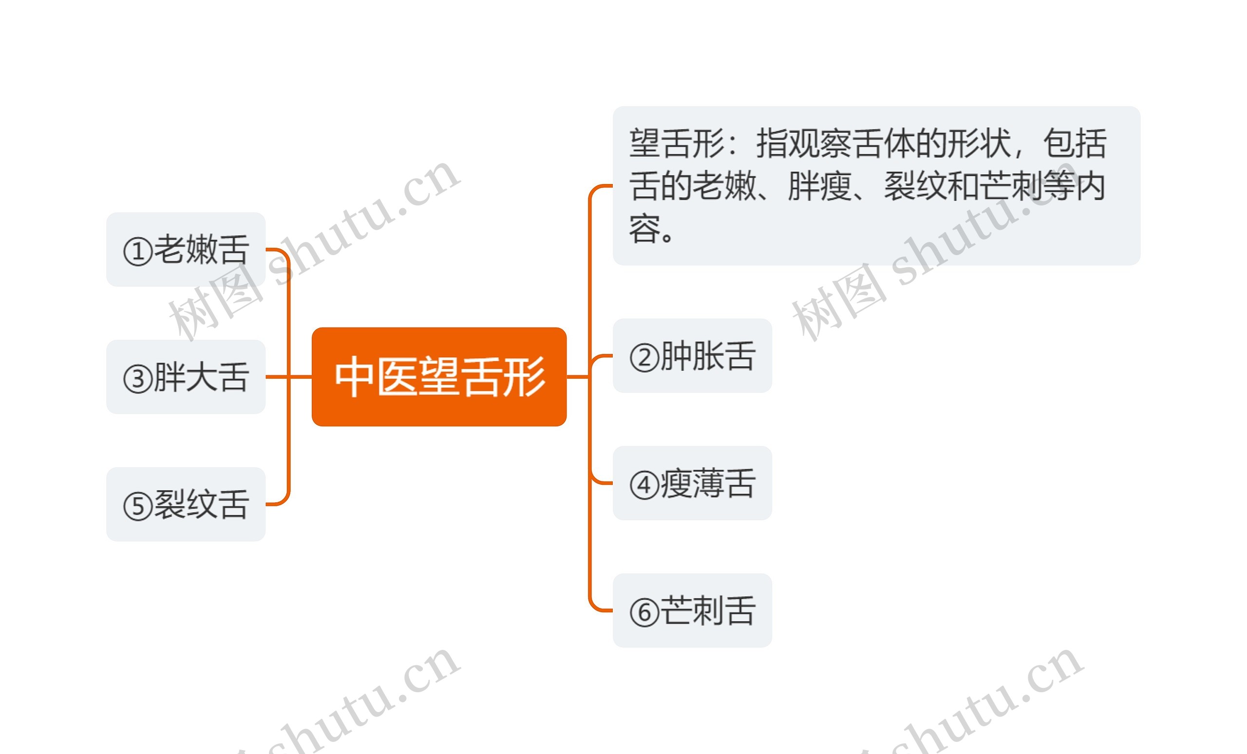 中医望舌形思维导图