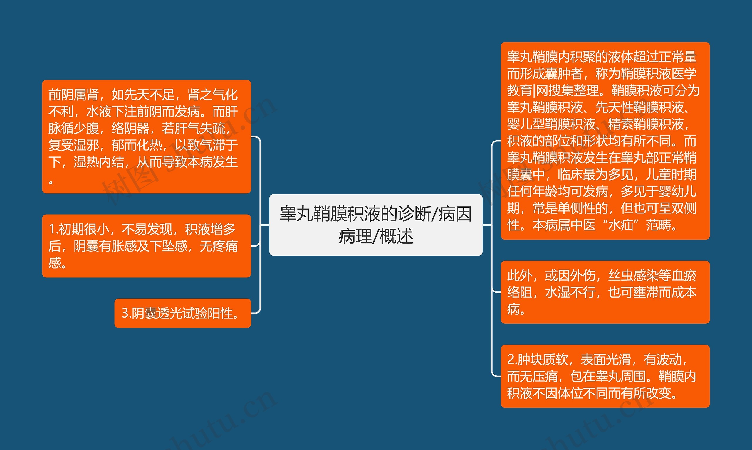 睾丸鞘膜积液的诊断/病因病理/概述