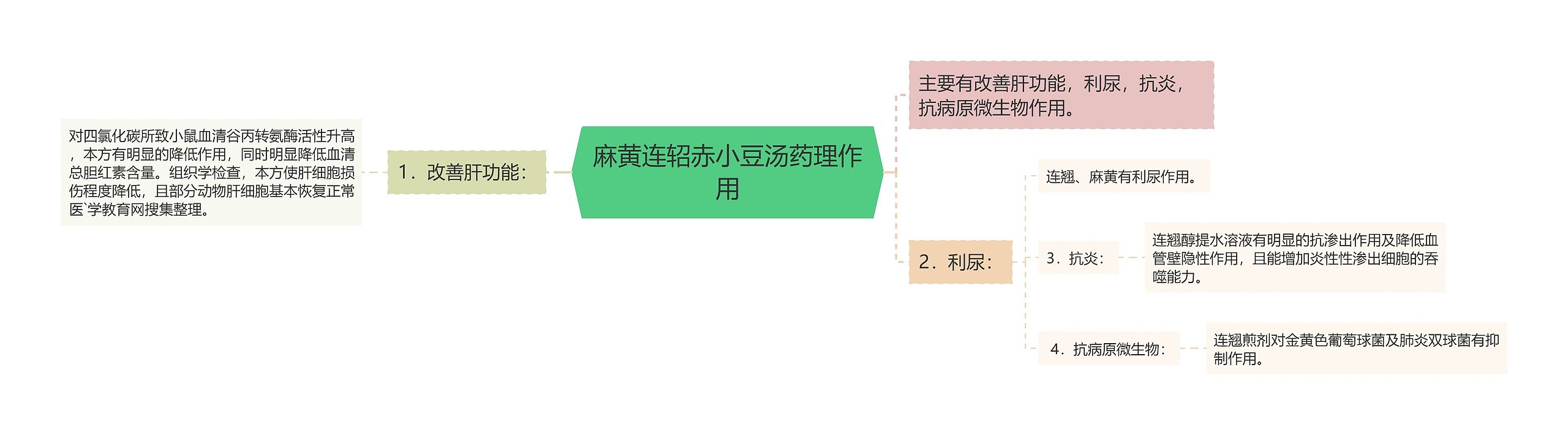 麻黄连轺赤小豆汤药理作用思维导图