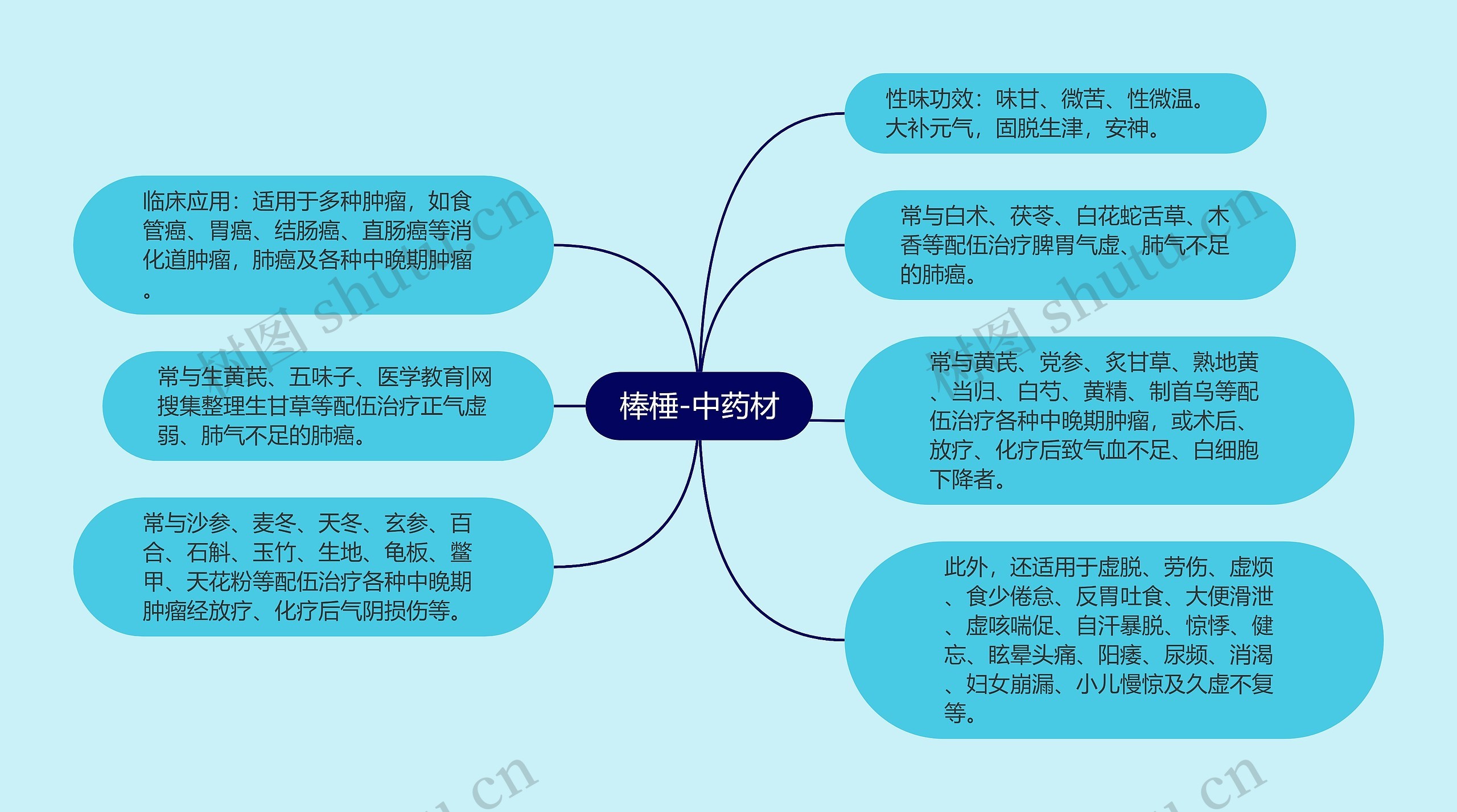 棒棰-中药材 棒棰-中药材