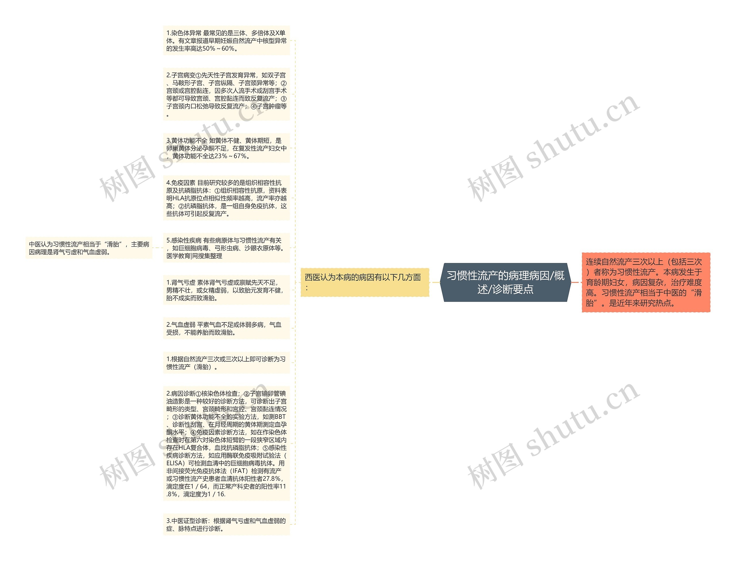 习惯性流产的病理病因/概述/诊断要点