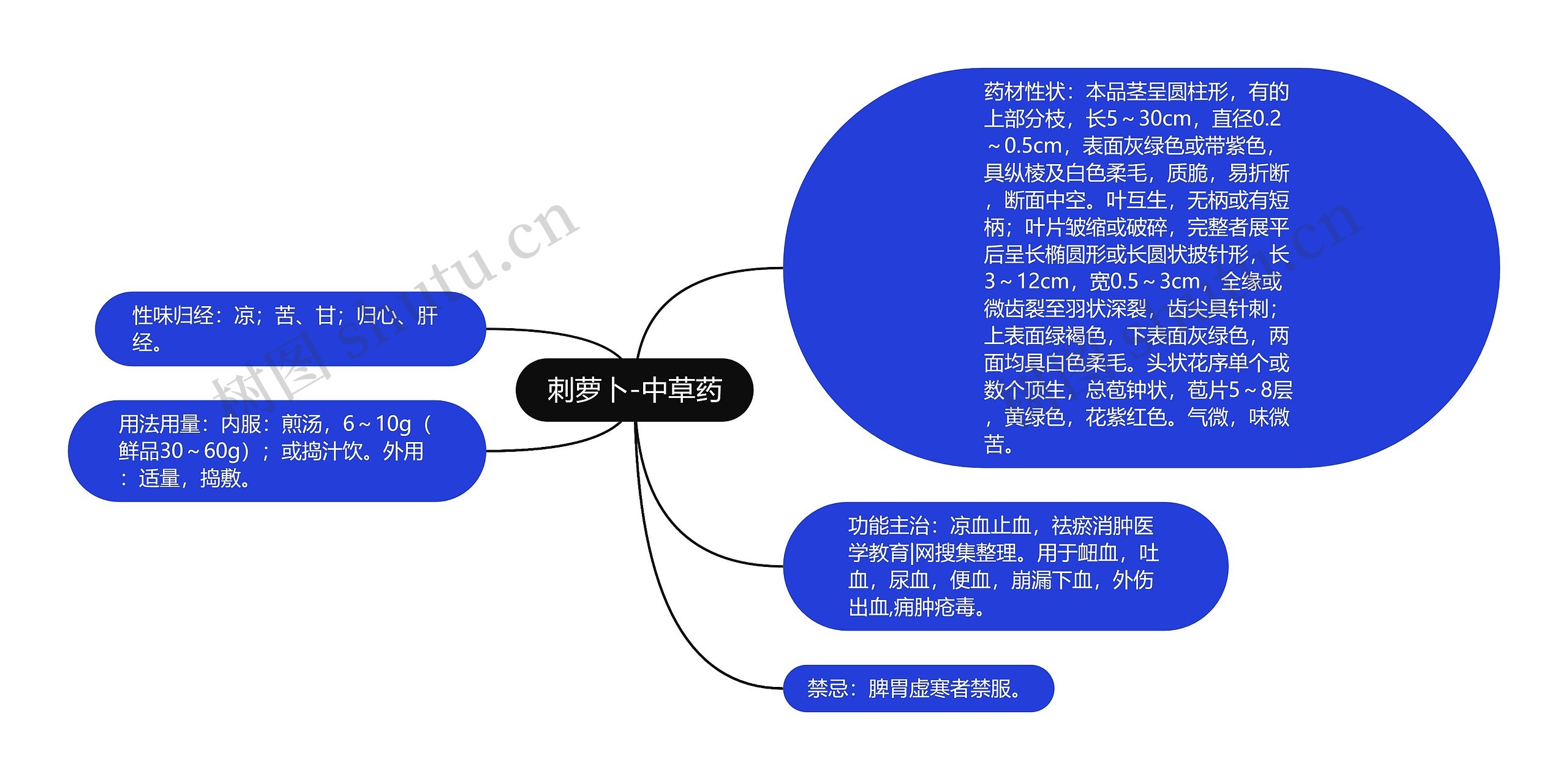 刺萝卜-中草药思维导图