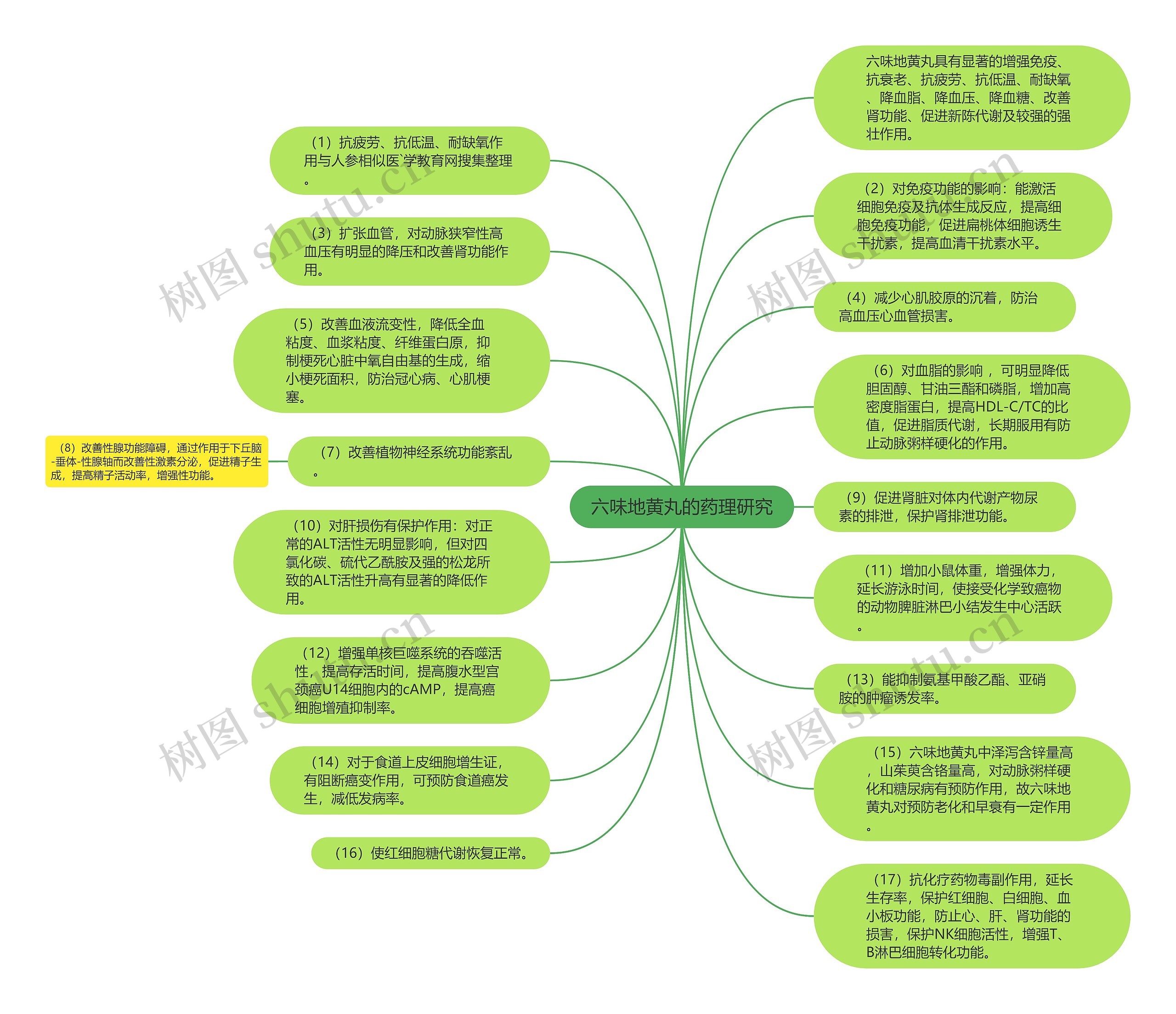 六味地黄丸的药理研究思维导图