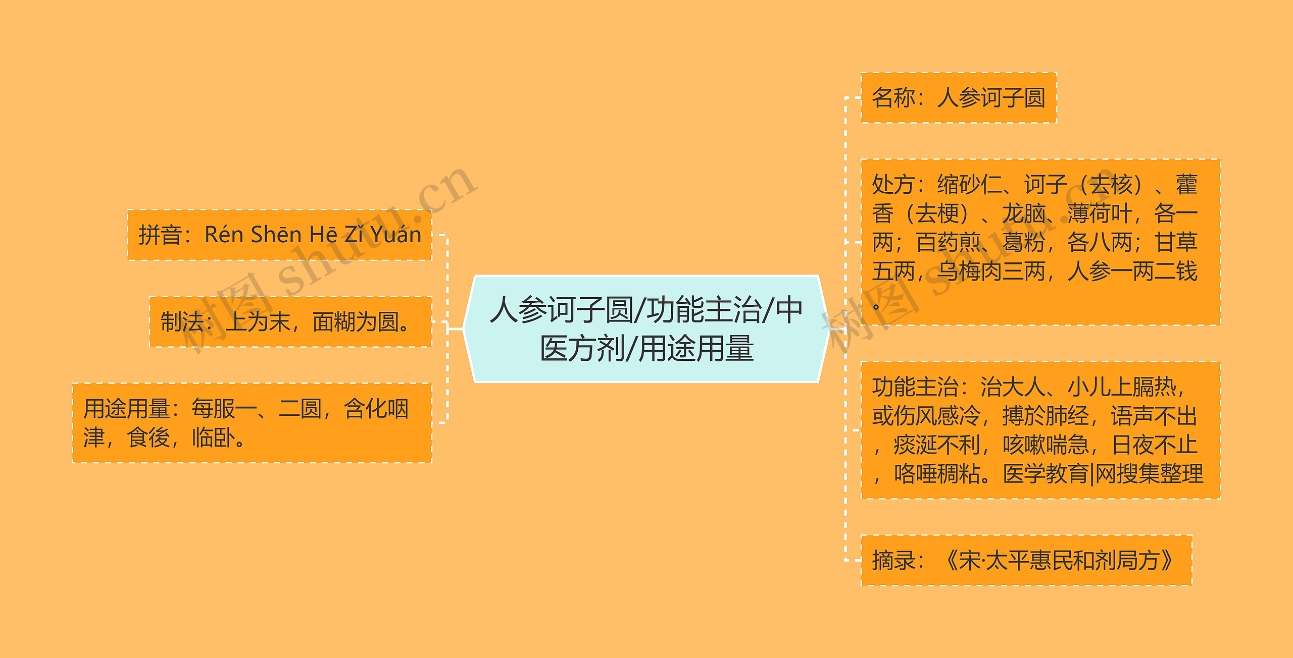 人参诃子圆/功能主治/中医方剂/用途用量思维导图