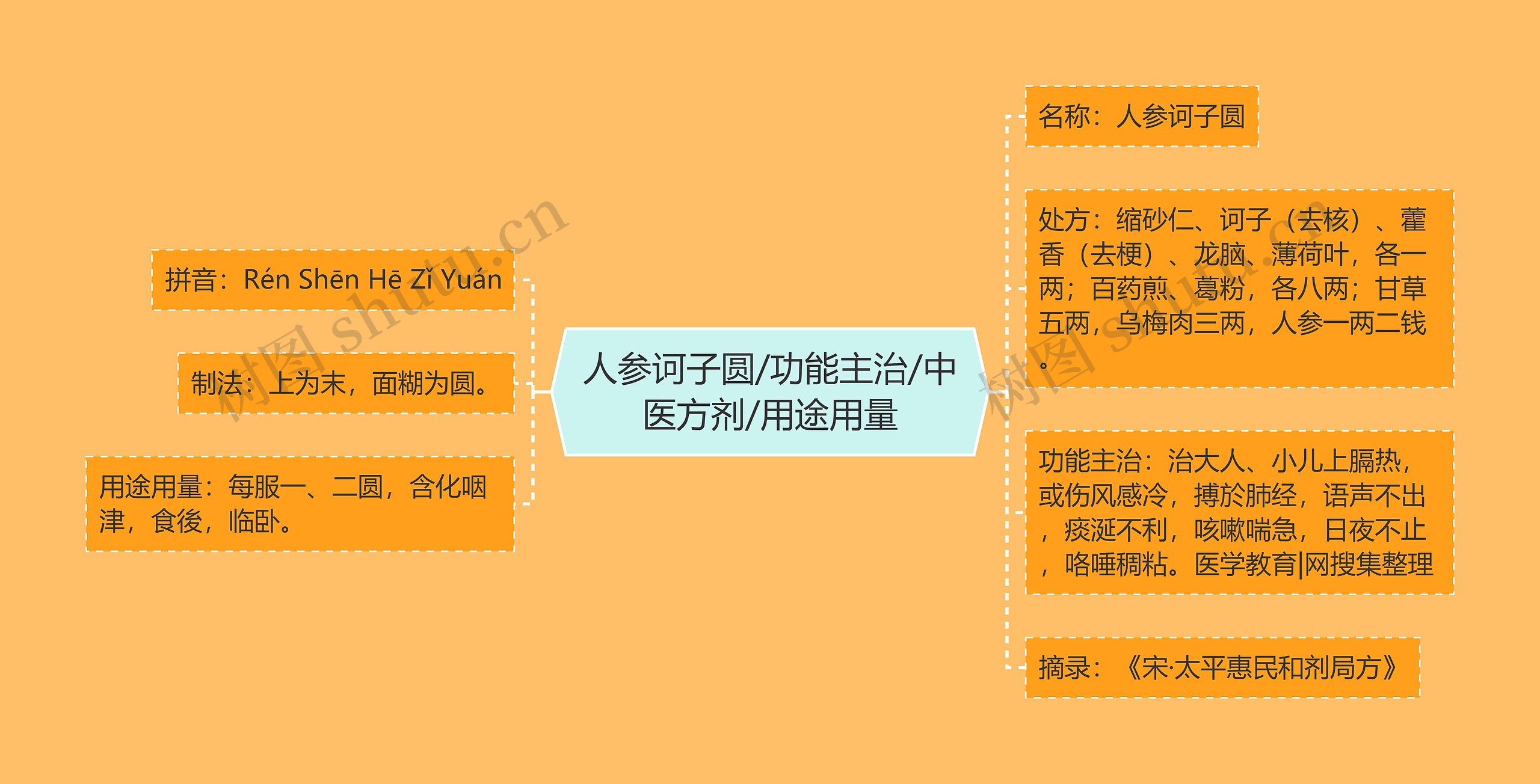 人参诃子圆/功能主治/中医方剂/用途用量 人参诃子圆/功能主治/中医方剂/用途用量