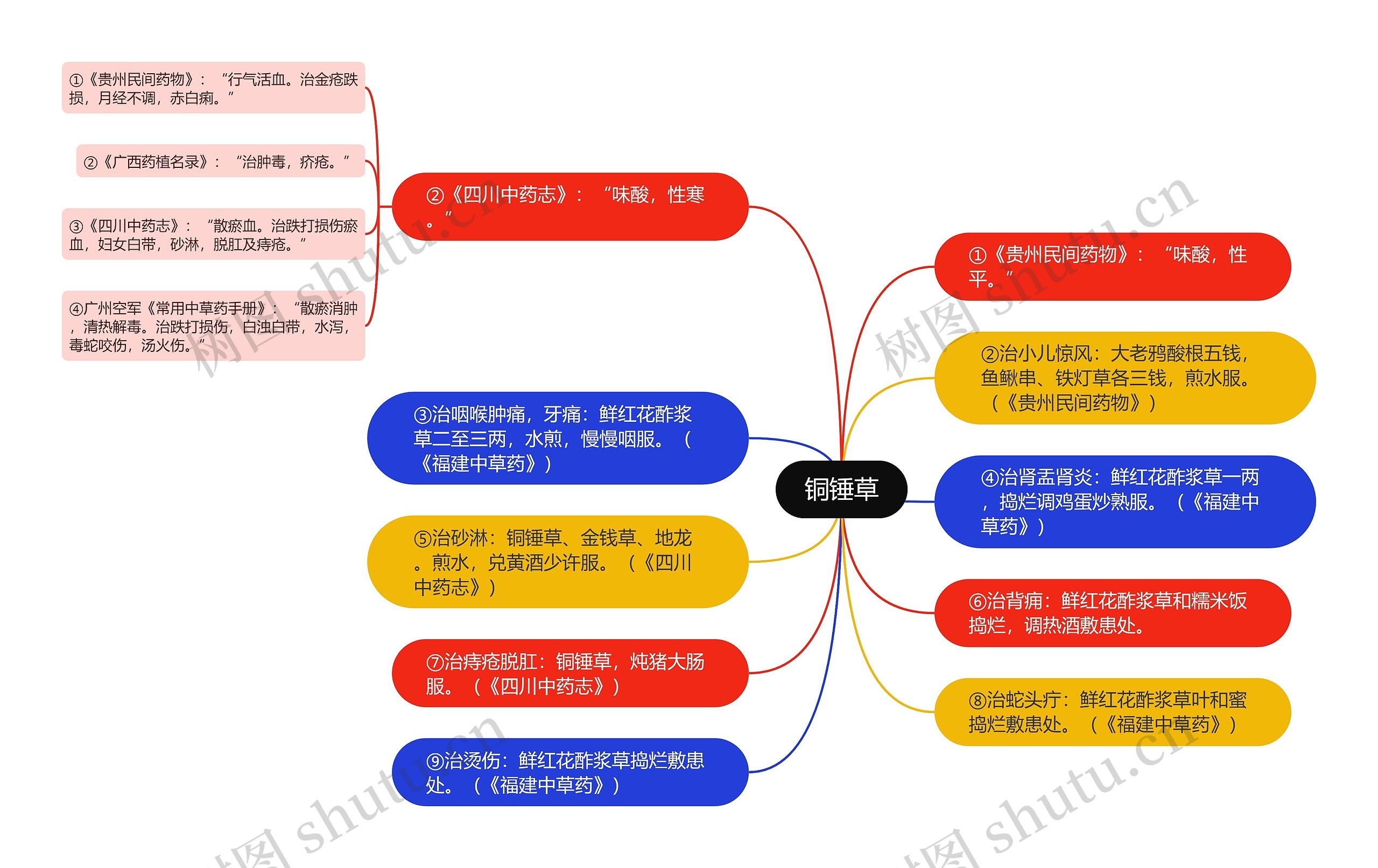 铜锤草思维导图