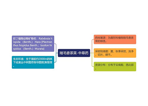 刚毛香茶菜-中草药