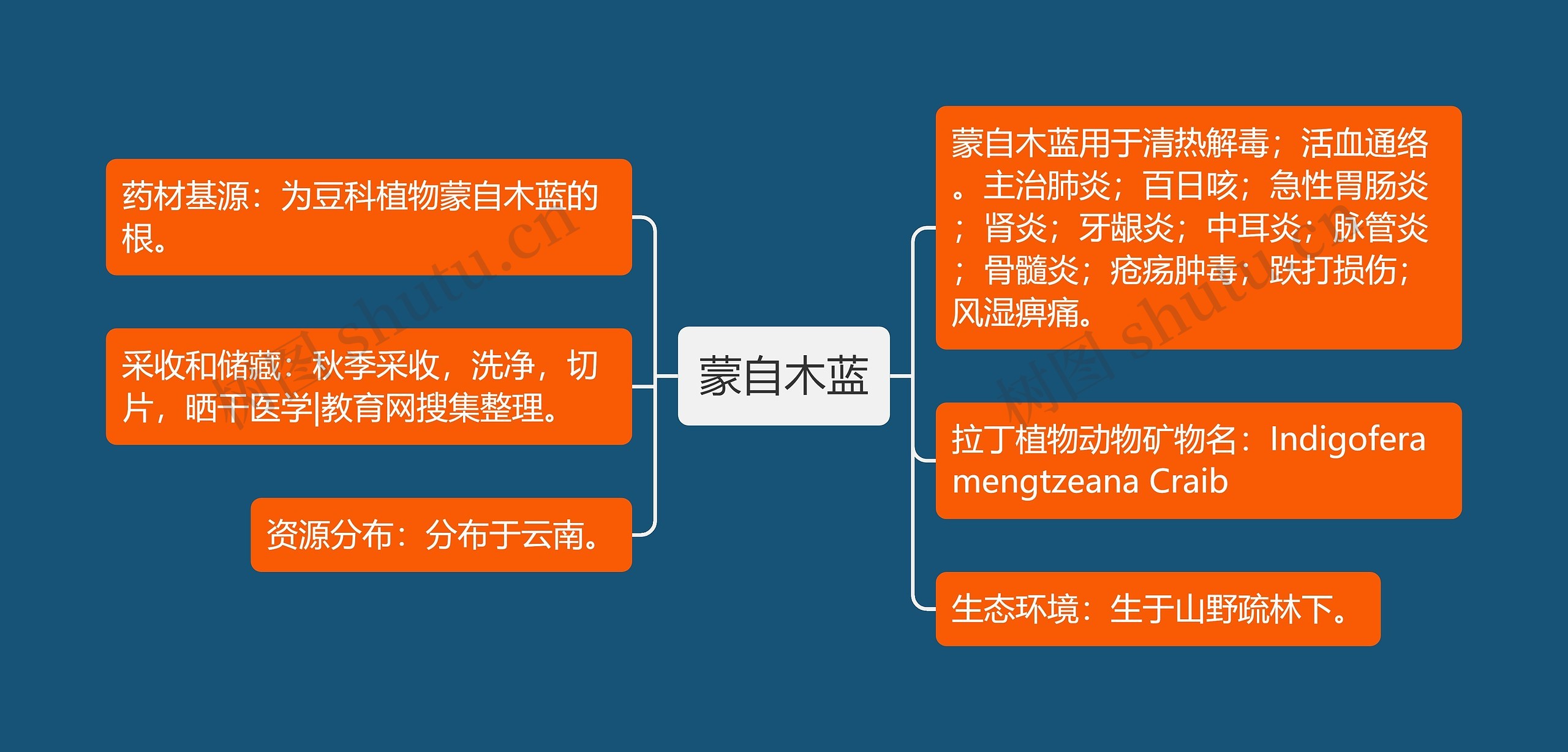 蒙自木蓝思维导图