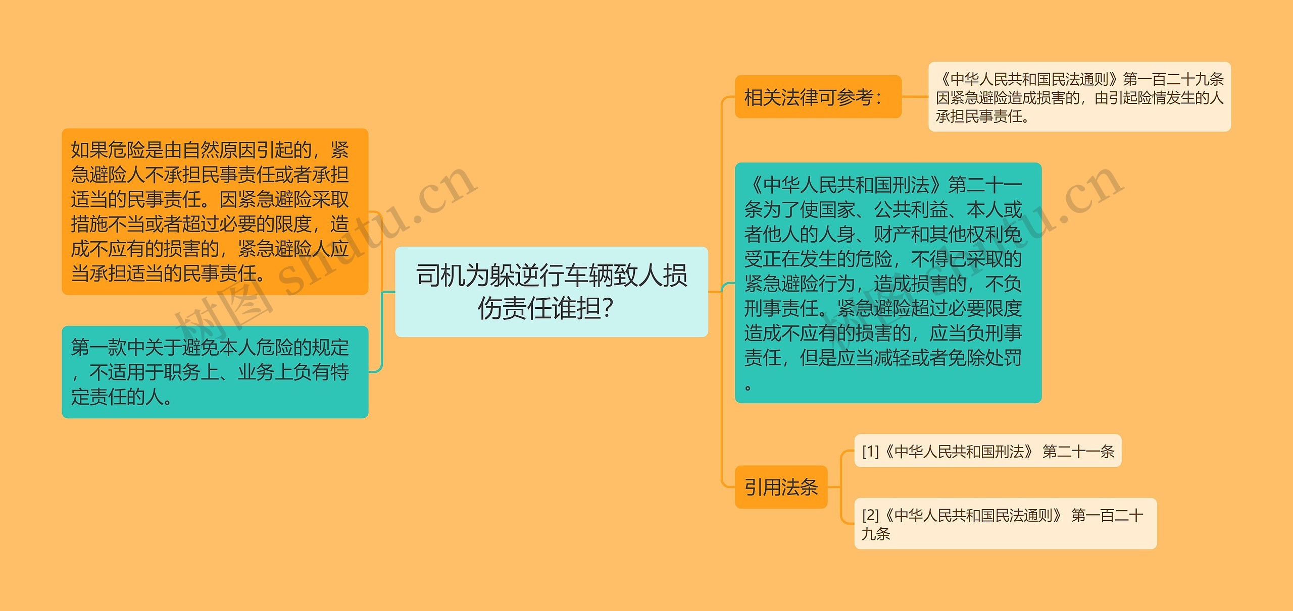 司机为躲逆行车辆致人损伤责任谁担？思维导图