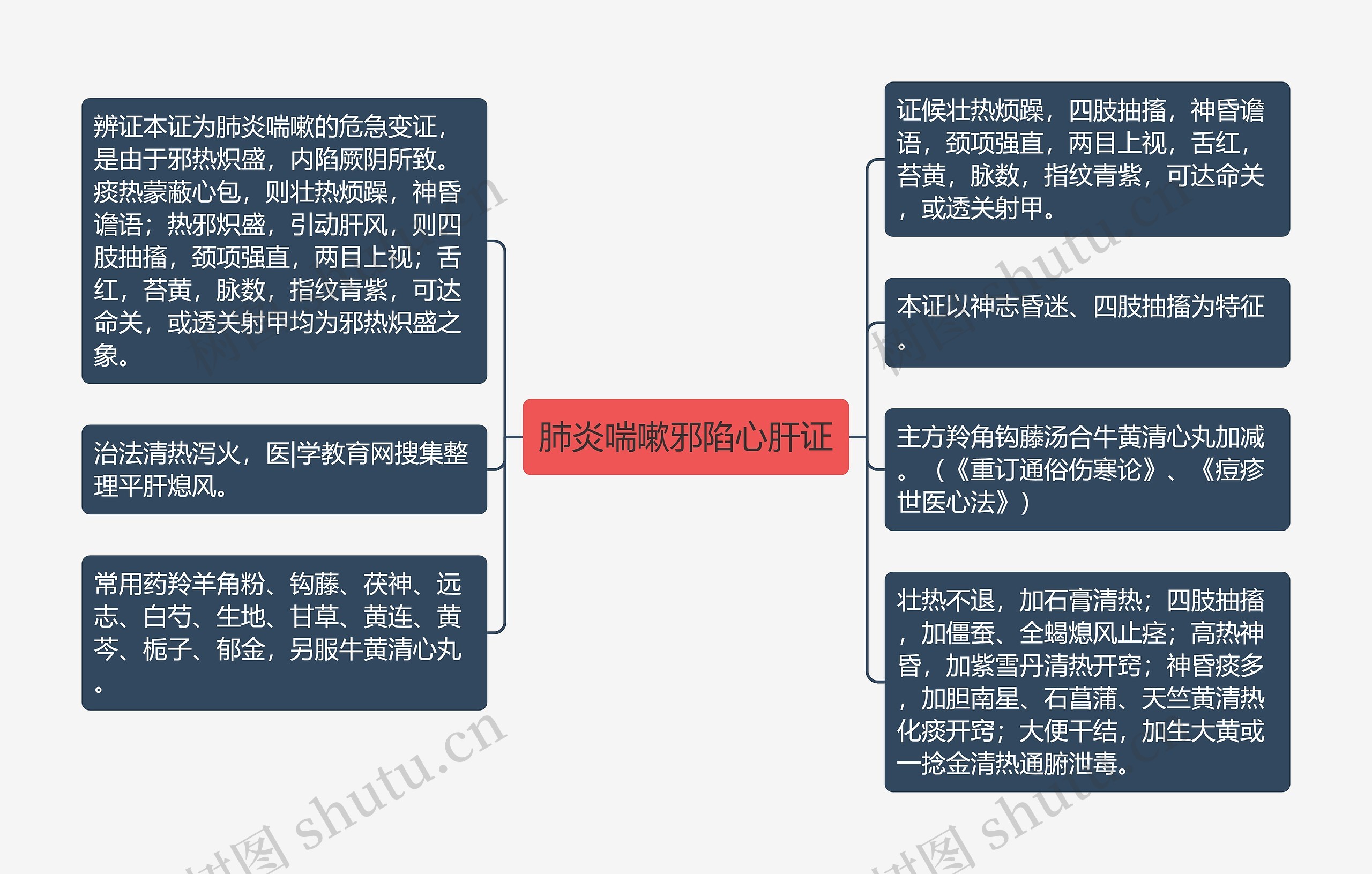 肺炎喘嗽邪陷心肝证思维导图