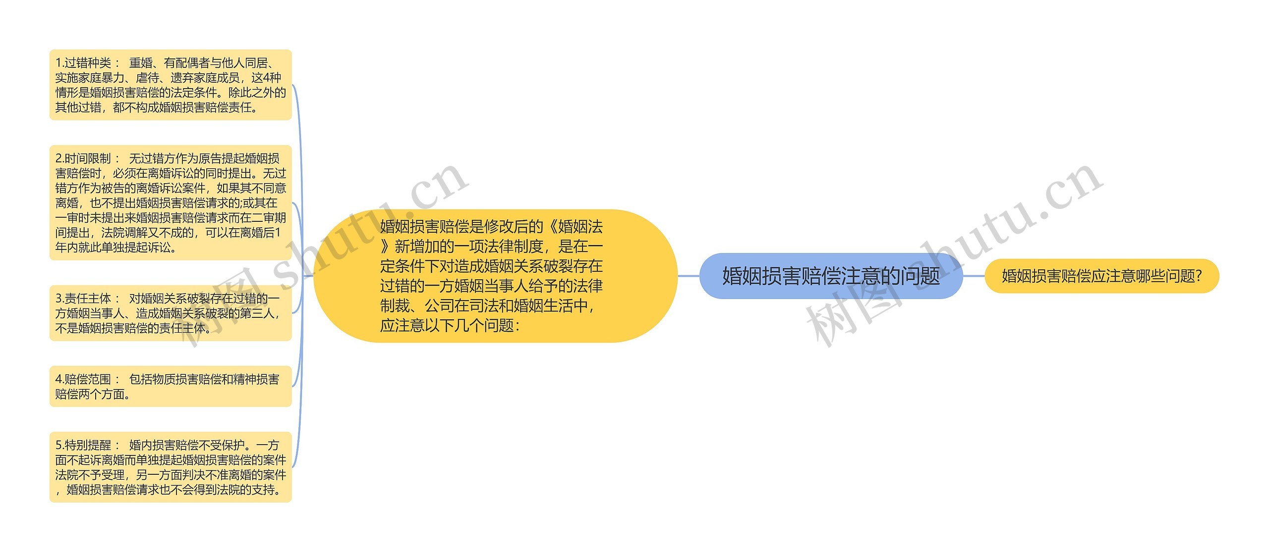 婚姻损害赔偿注意的问题思维导图高清图 婚姻损害赔偿注意的问题思维导图