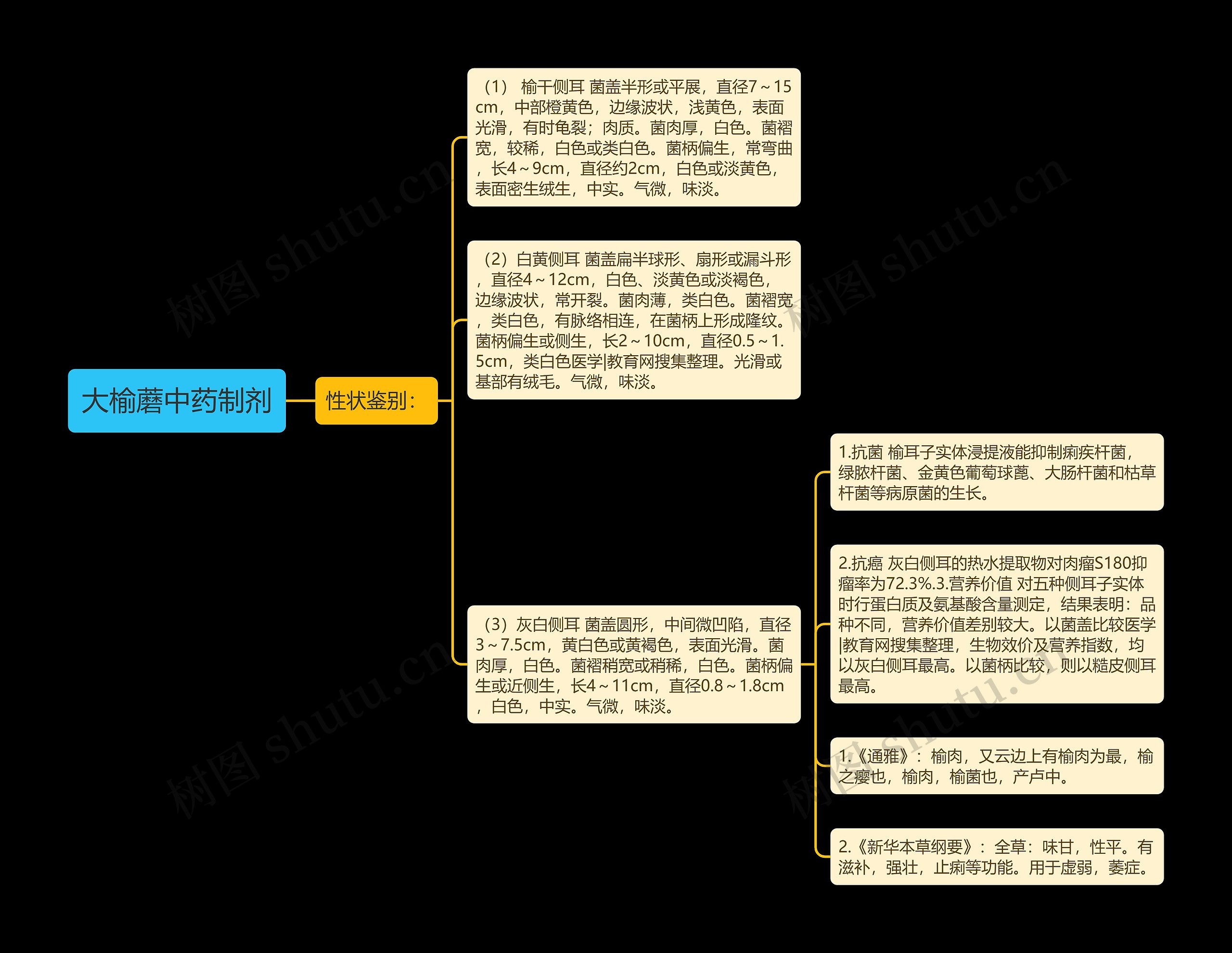 大榆蘑中药制剂思维导图