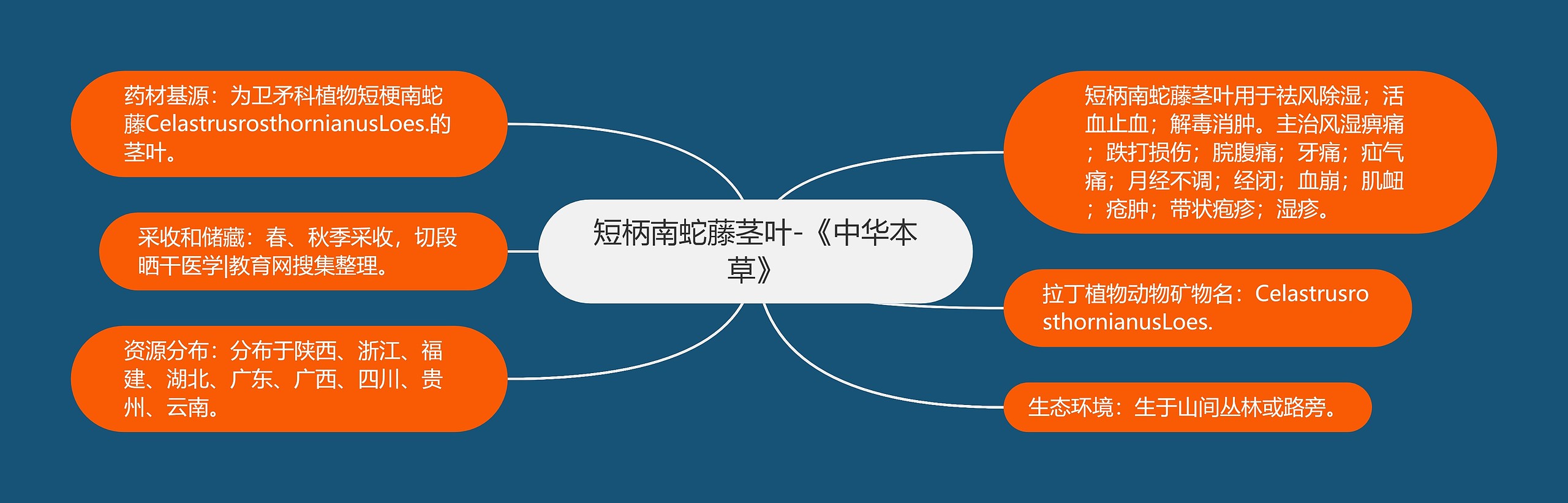 短柄南蛇藤茎叶-《中华本草》 短柄南蛇藤茎叶-《中华本草》