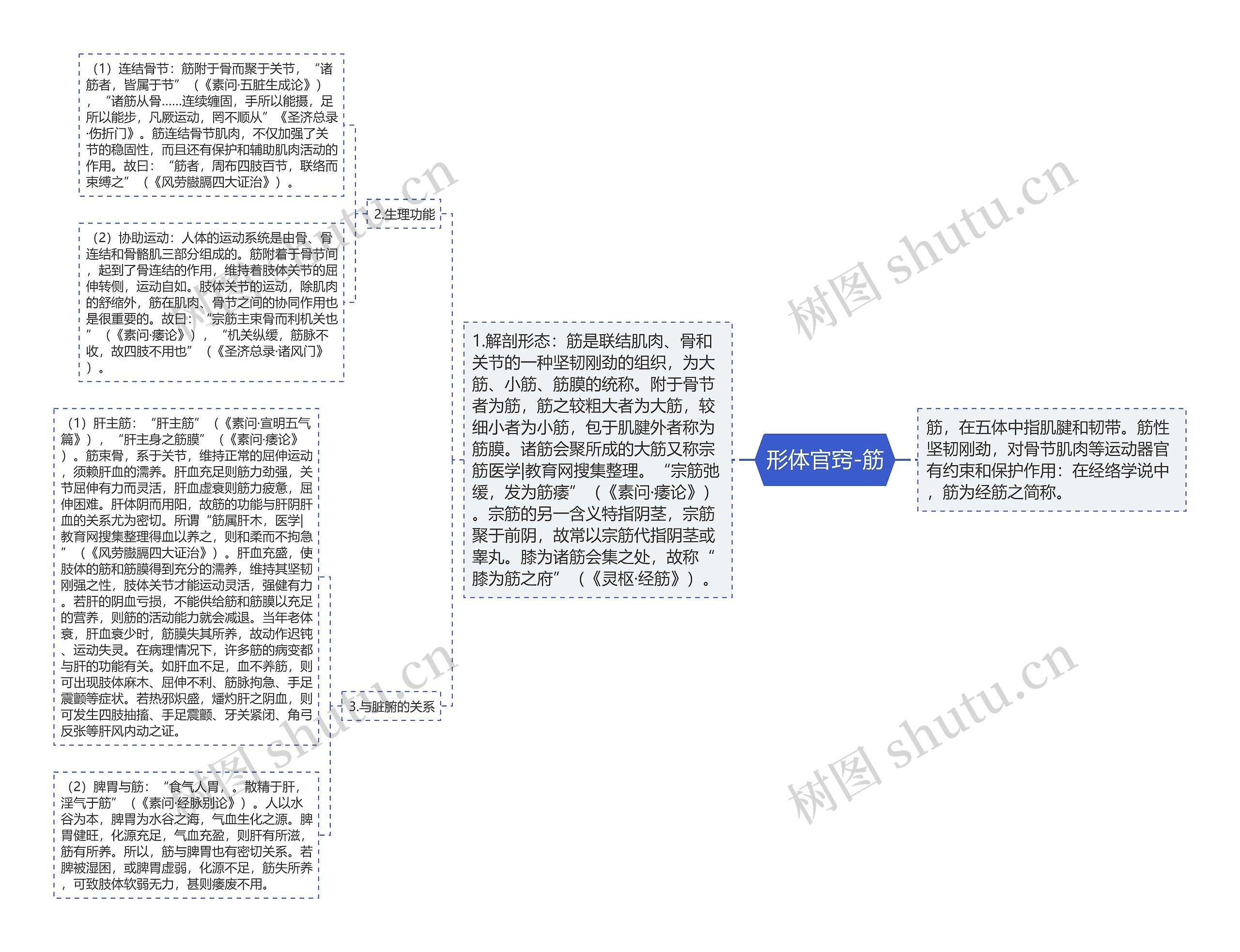 形体官窍-筋思维导图