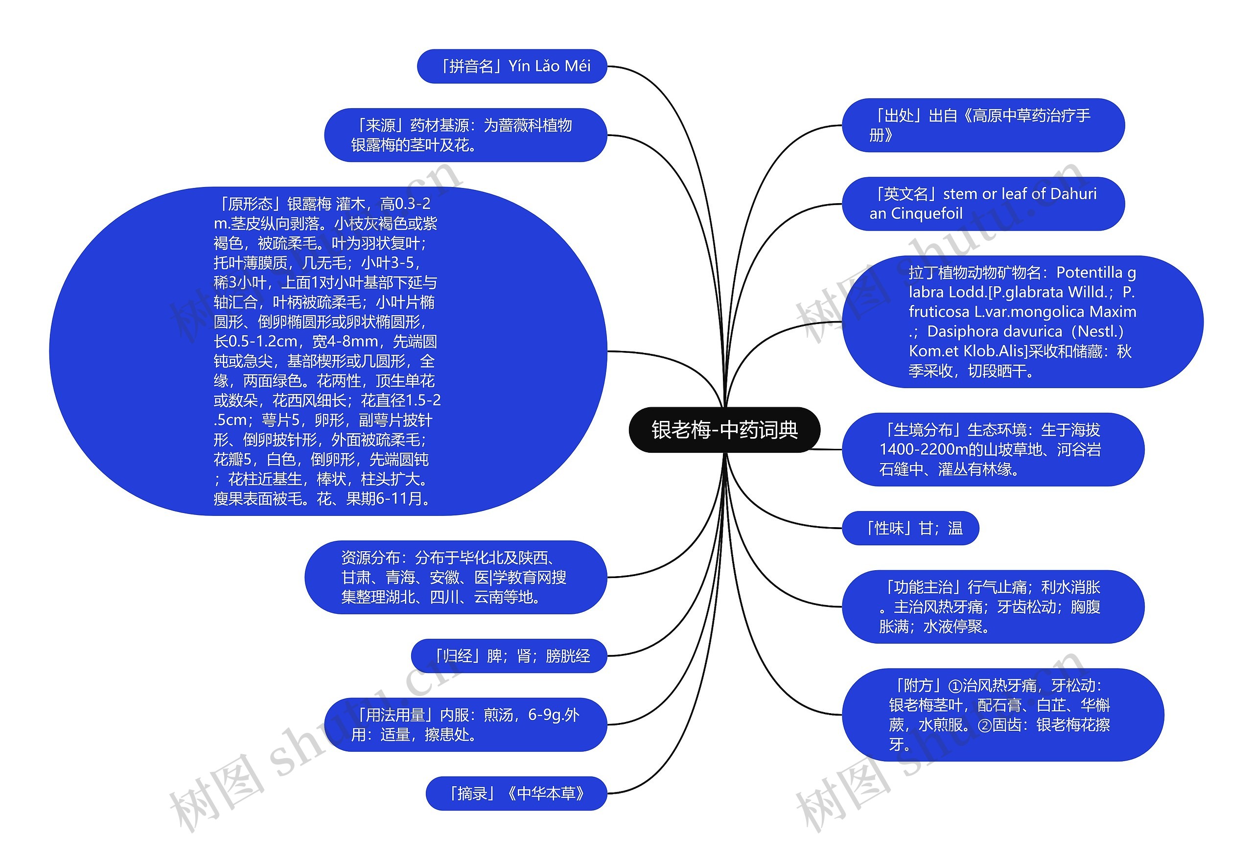 银老梅-中药词典