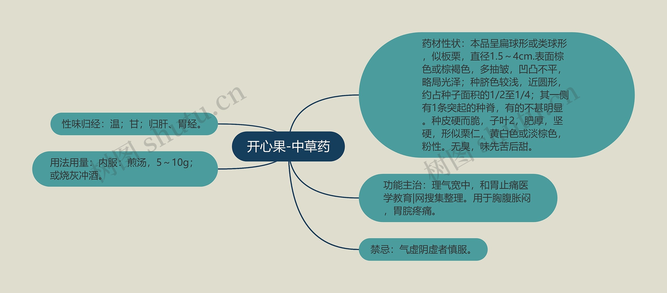 开心果-中草药 开心果-中草药