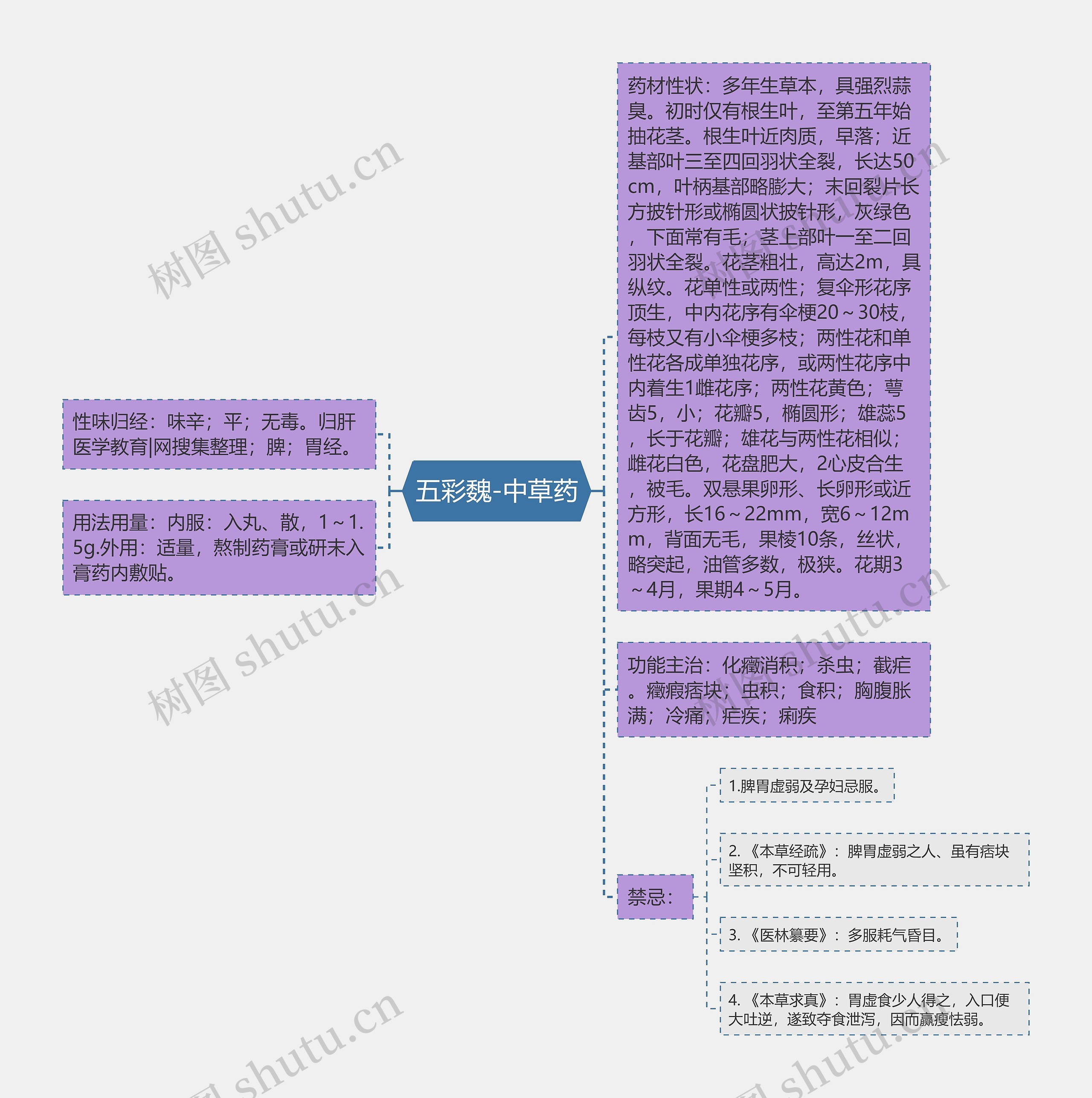 五彩魏-中草药思维导图