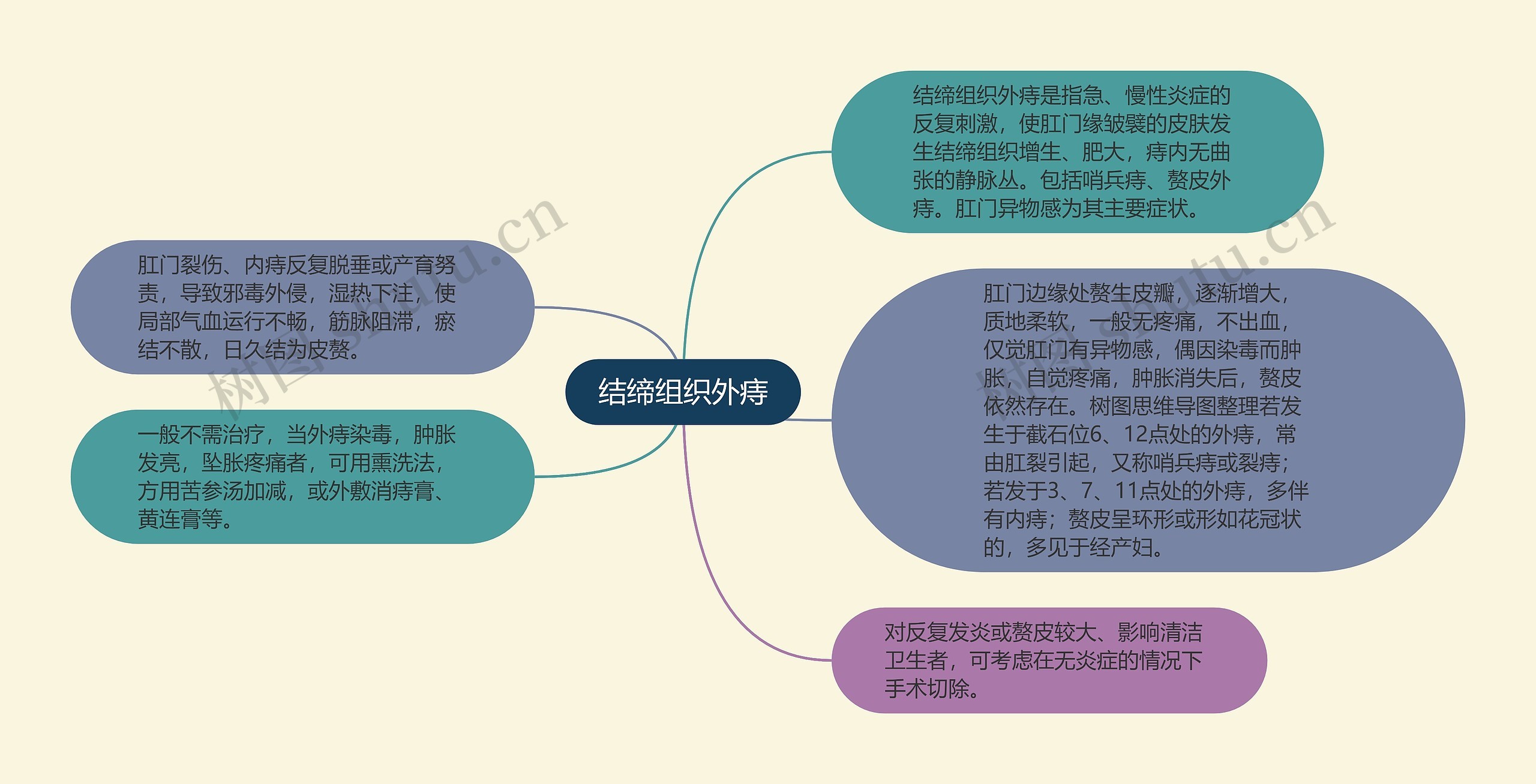 结缔组织外痔思维导图