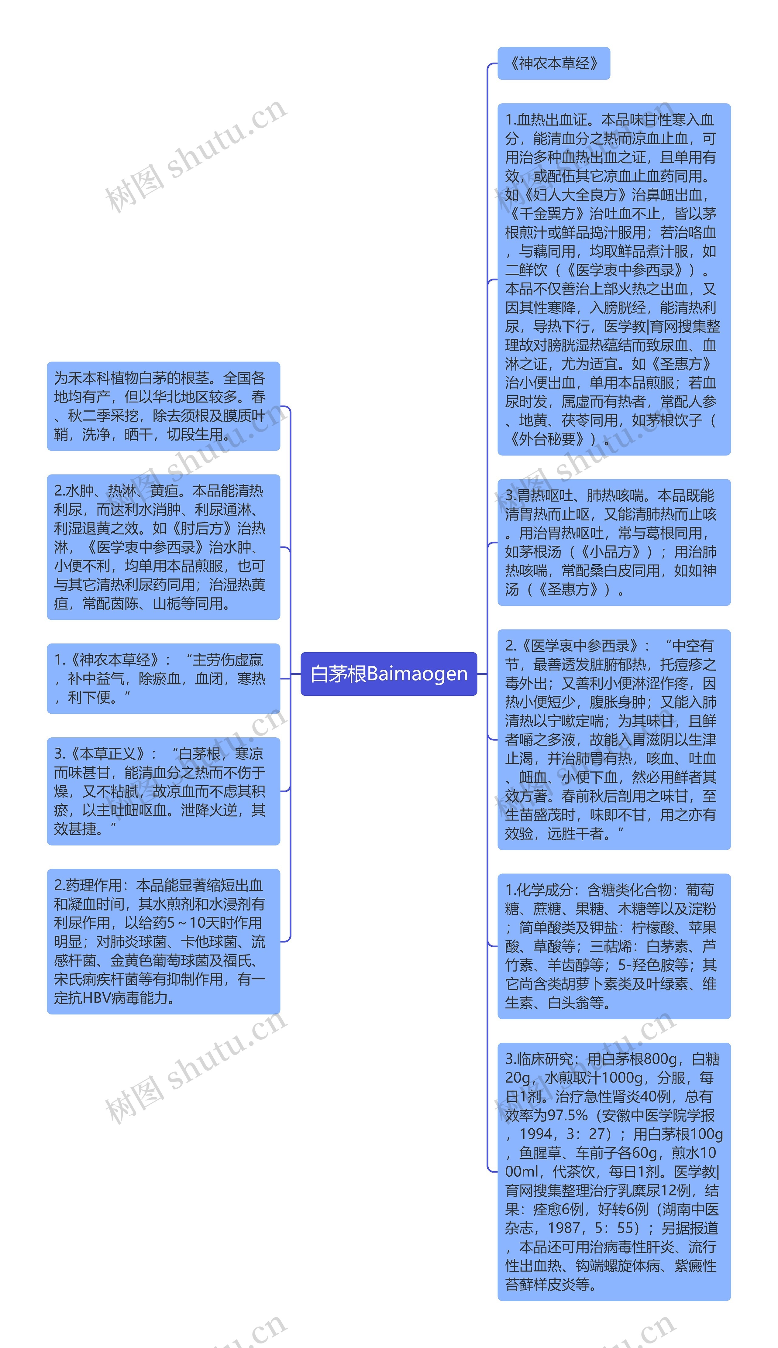 白茅根Baimaogen思维导图