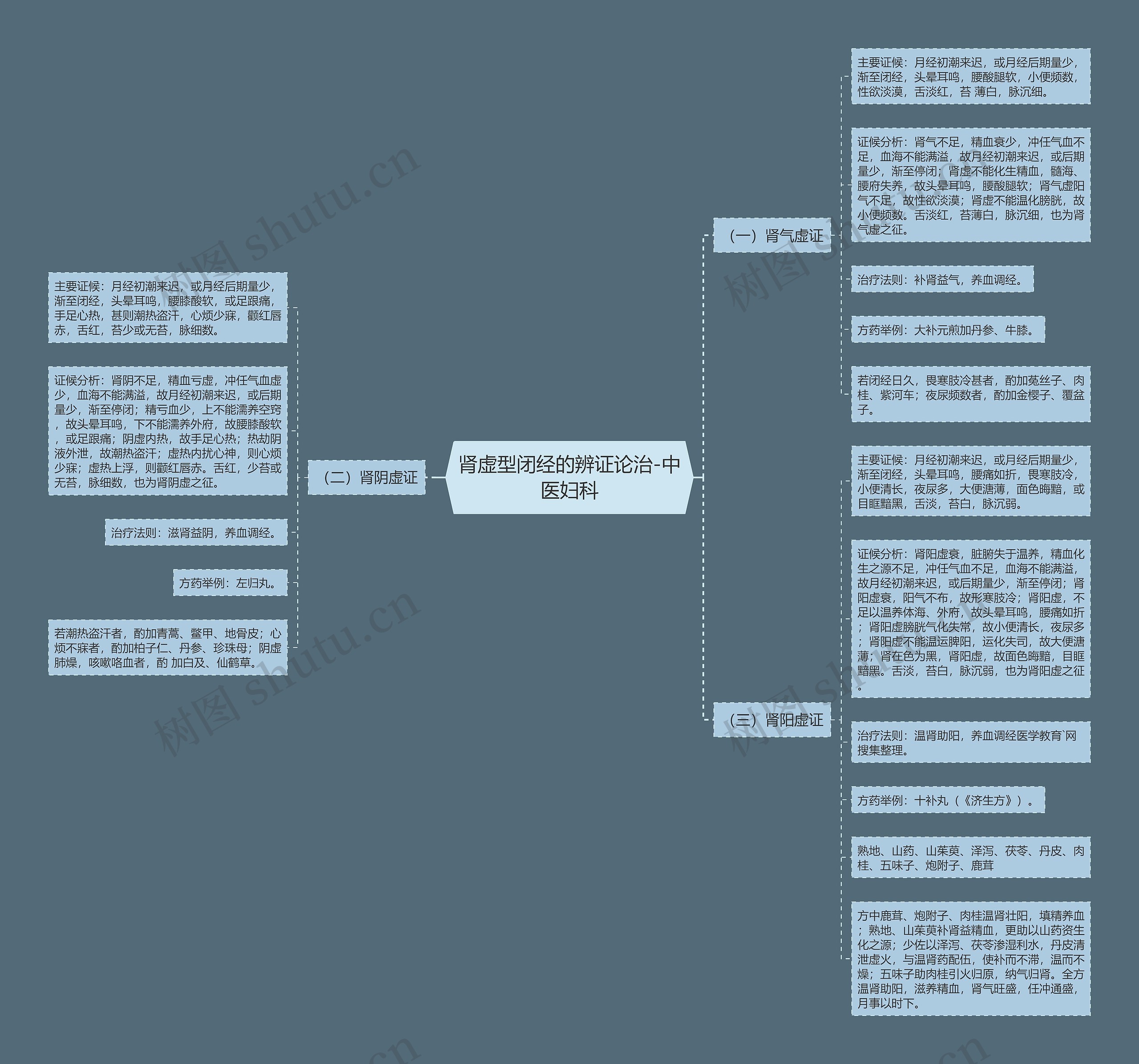 肾虚型闭经的辨证论治-中医妇科思维导图