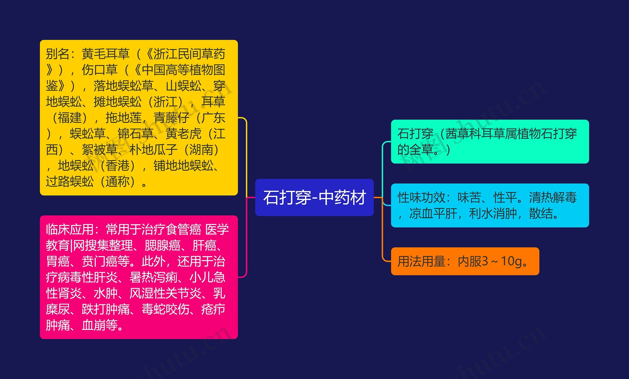 石打穿-中药材思维导图