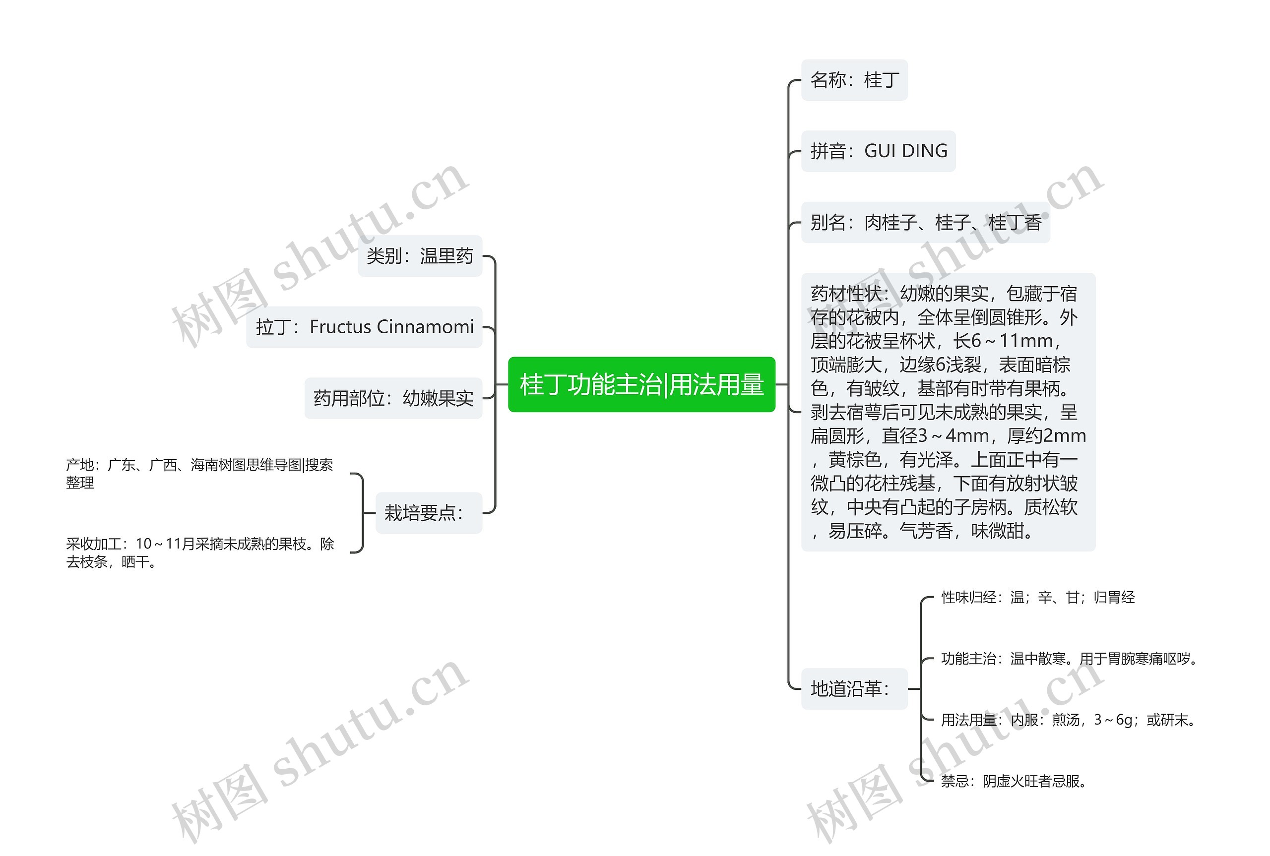 桂丁功能主治|用法用量思维导图