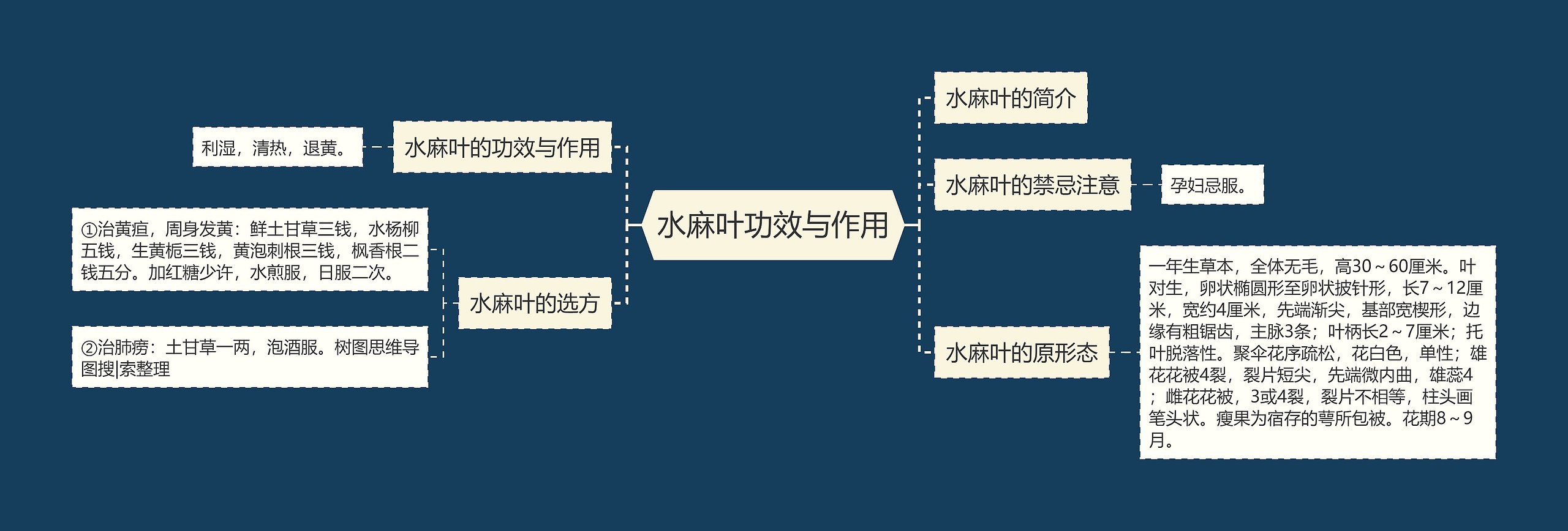 水麻叶功效与作用思维导图