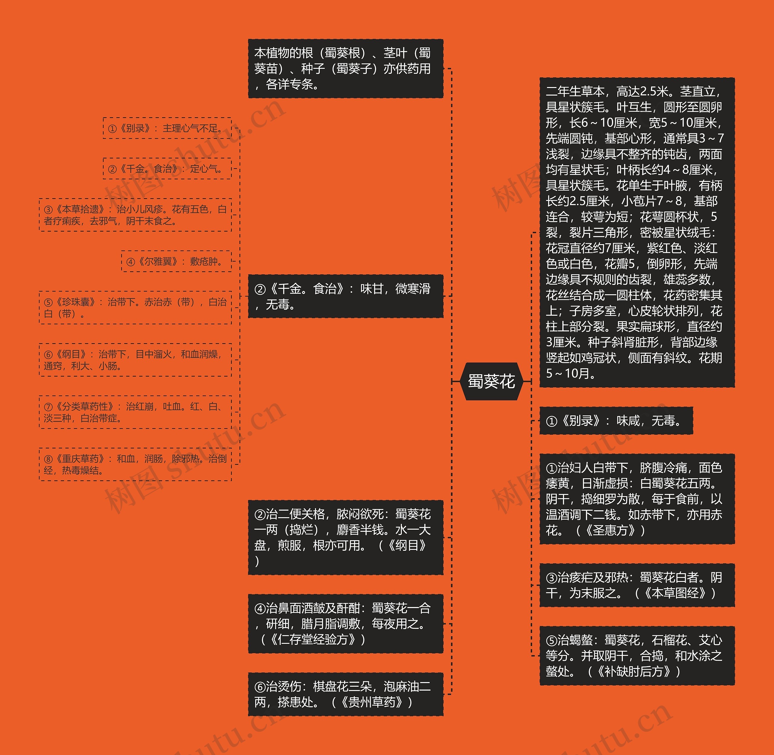 蜀葵花思维导图