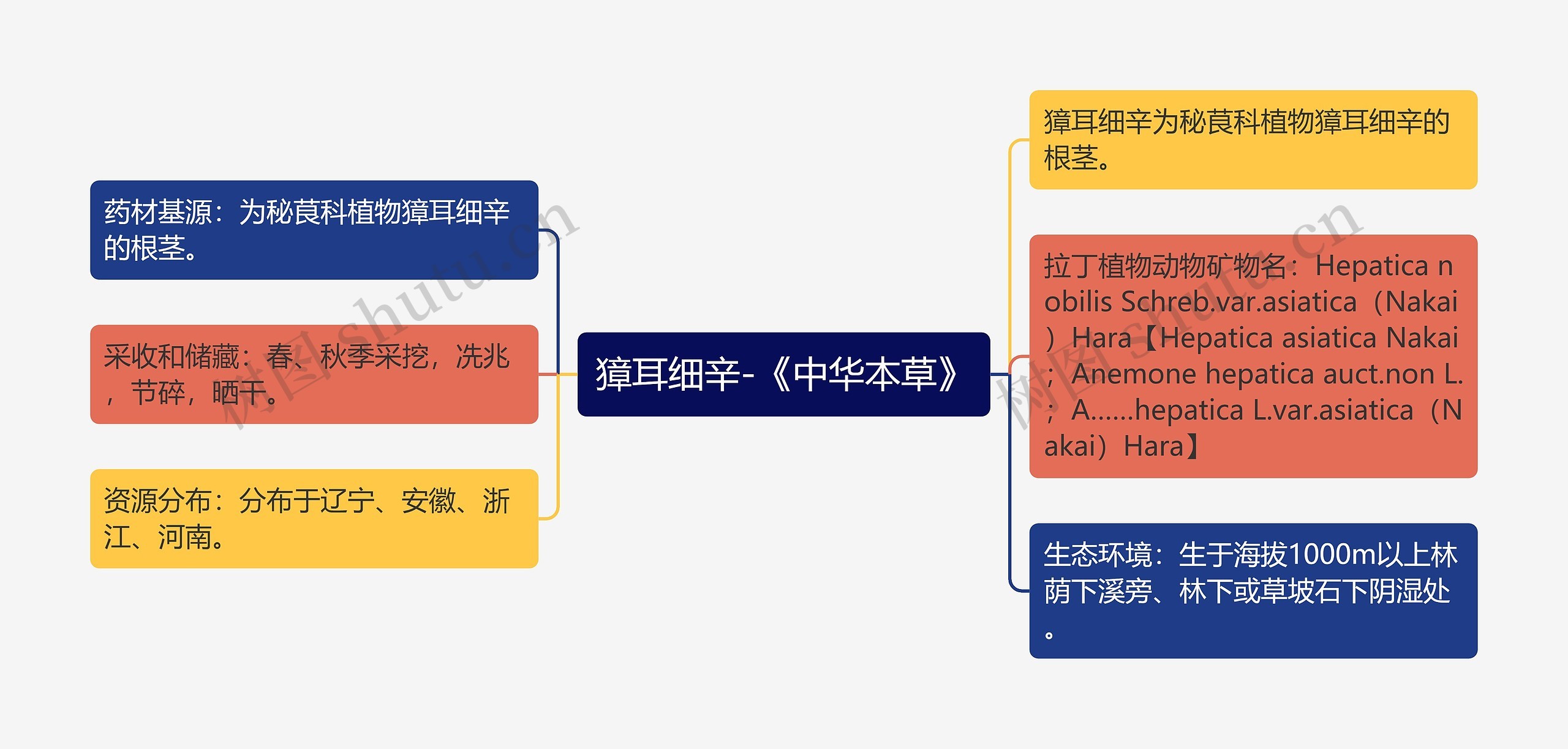 獐耳细辛-《中华本草》思维导图