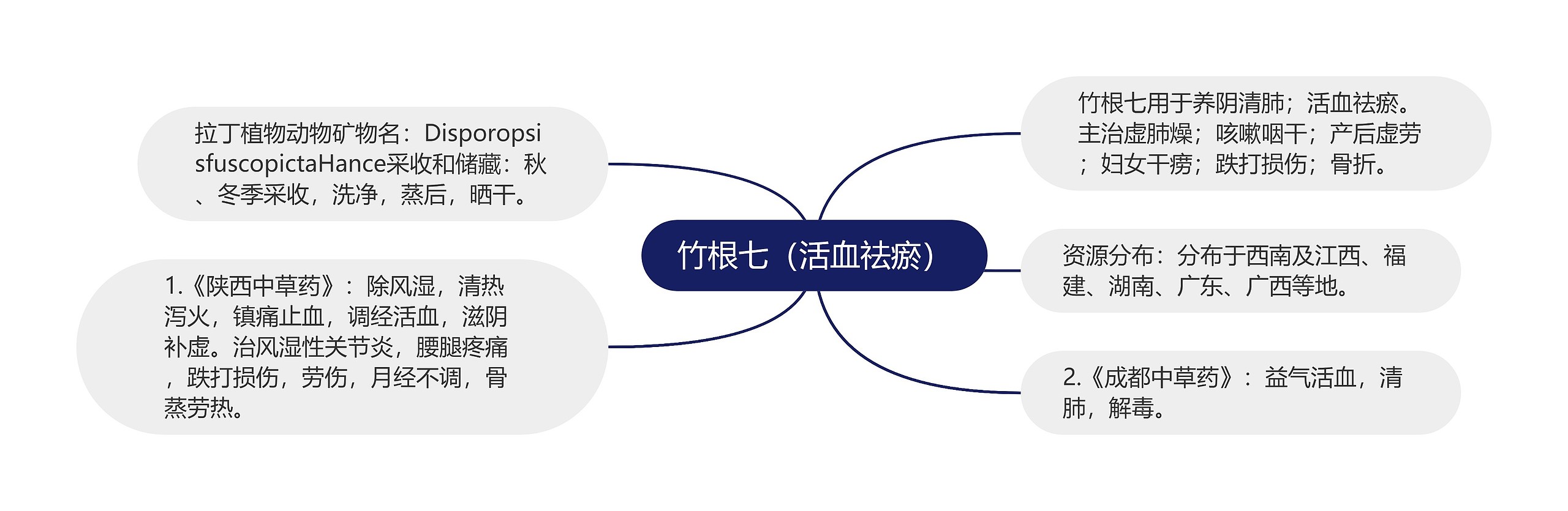 竹根七（活血祛瘀）思维导图