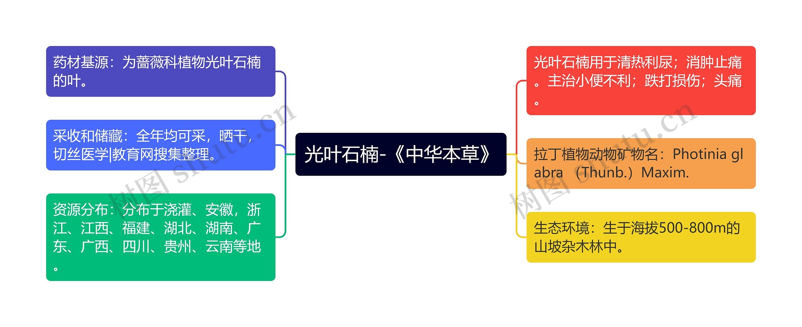 光叶石楠-《中华本草》思维导图