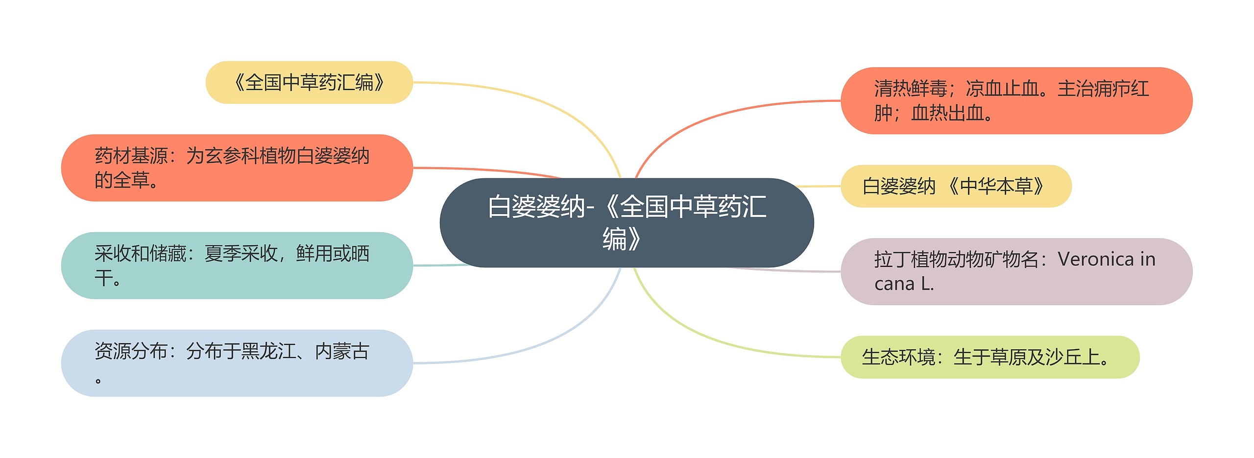 白婆婆纳-《全国中草药汇编》
