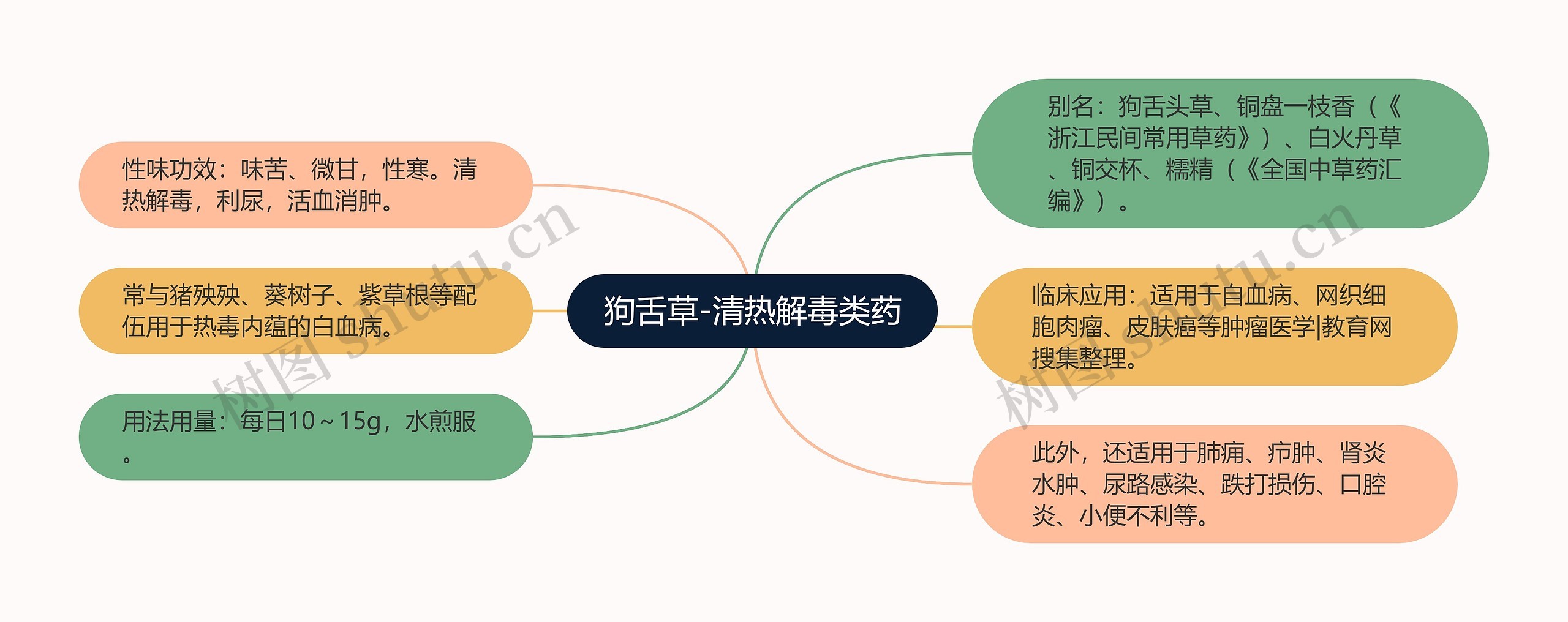 狗舌草-清热解毒类药思维导图