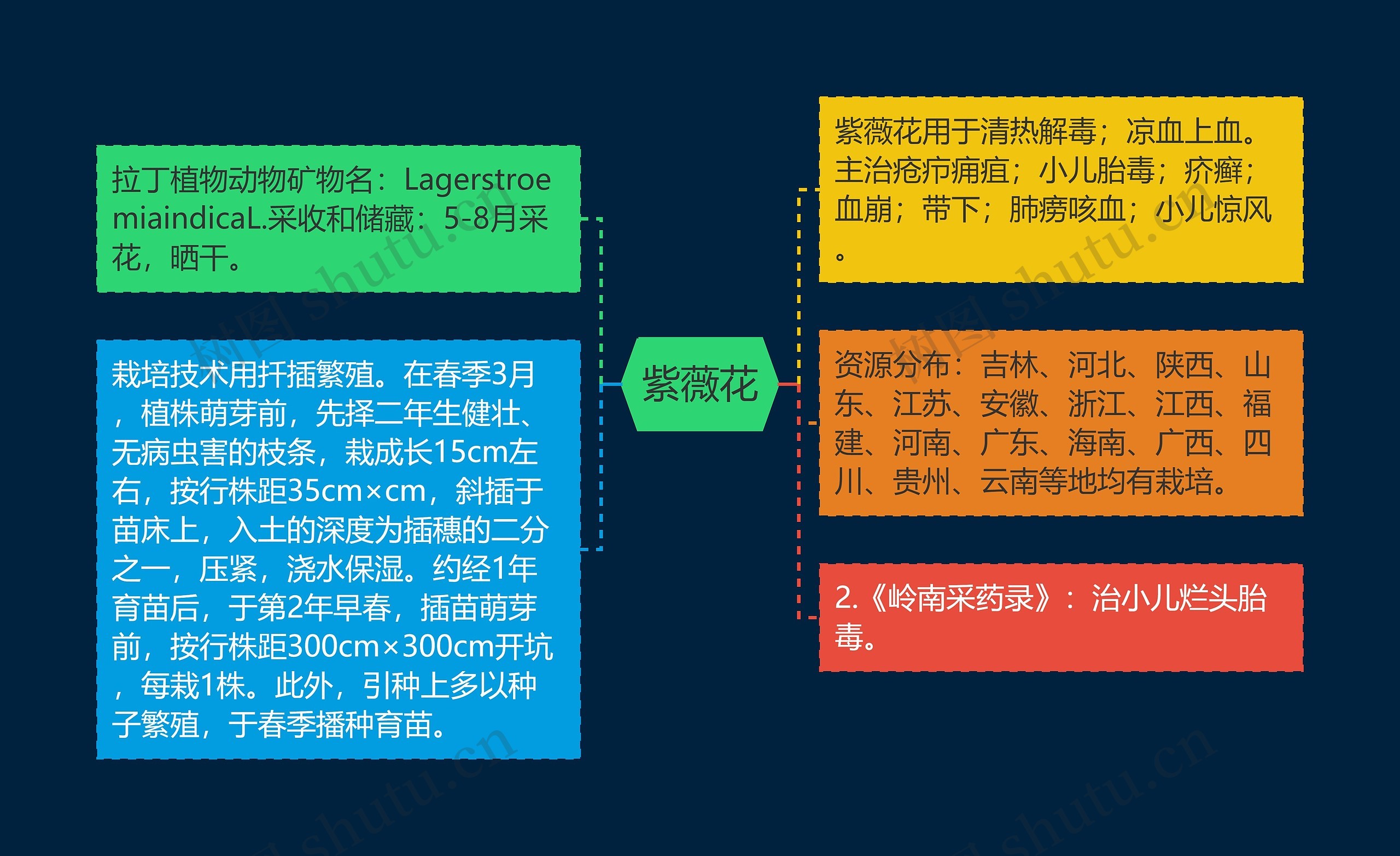 紫薇花思维导图