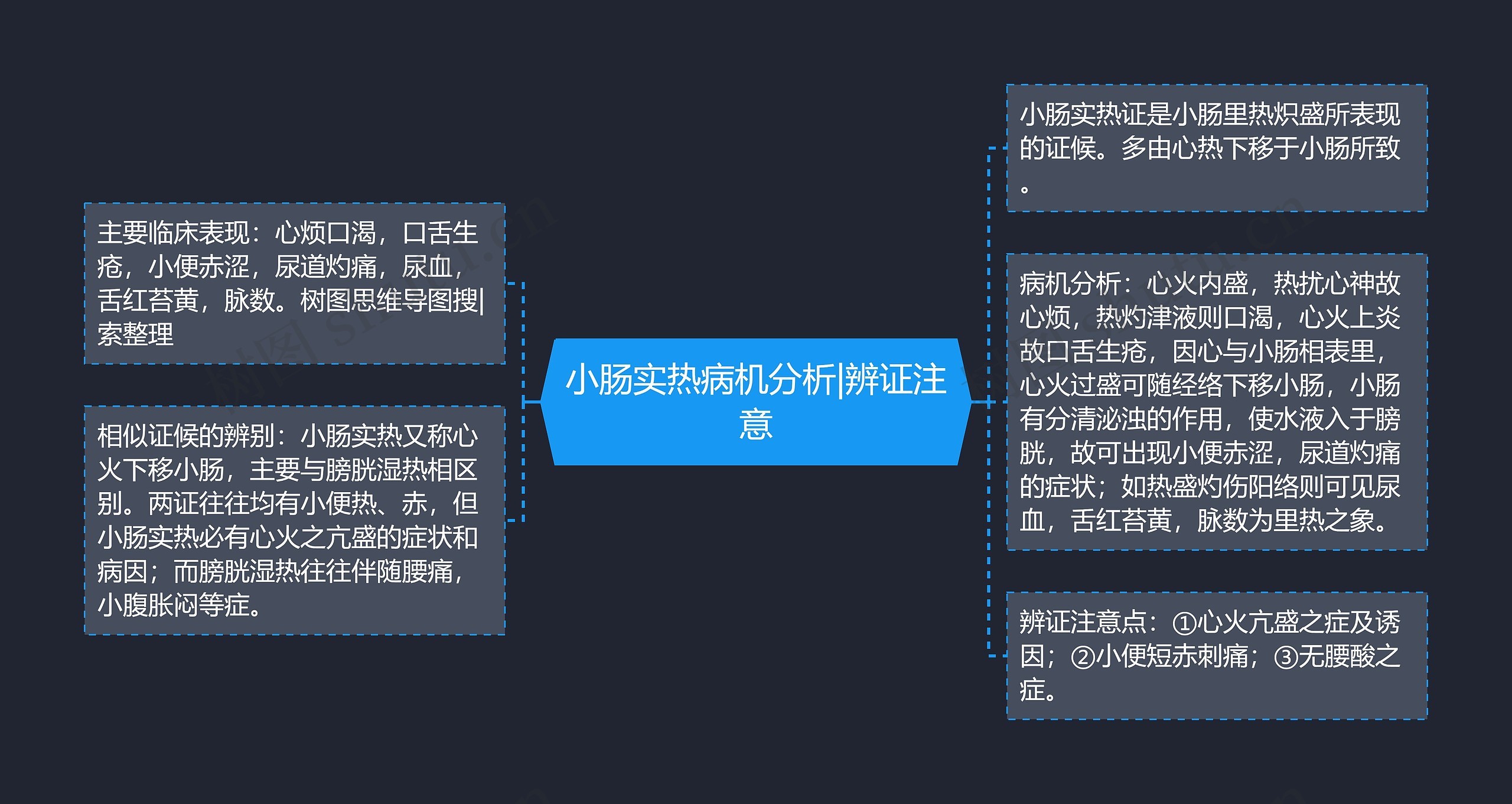 小肠实热病机分析|辨证注意