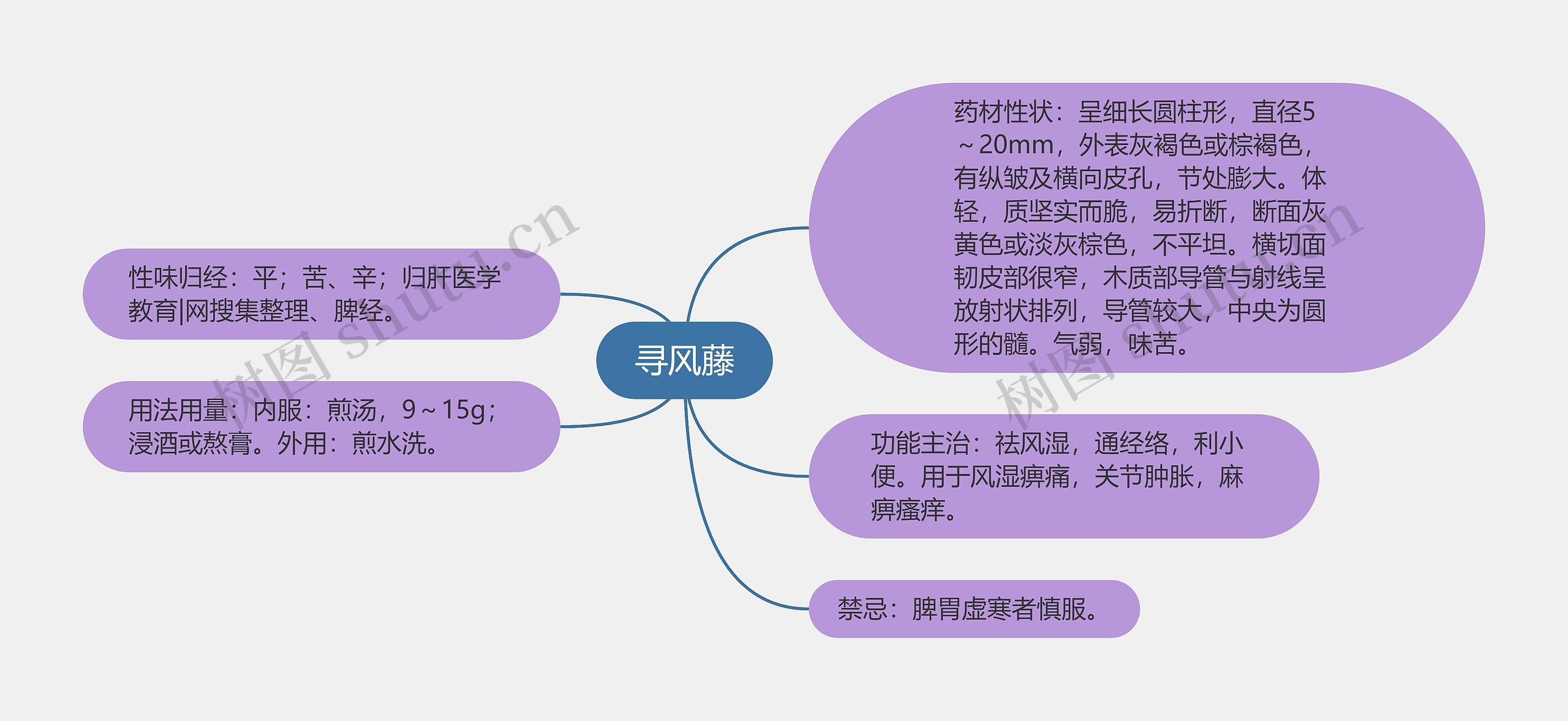 寻风藤思维导图